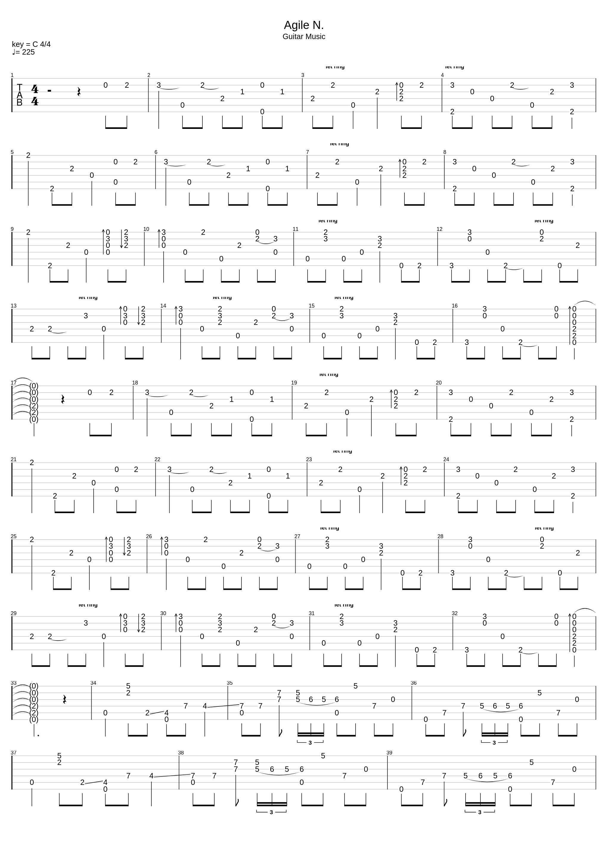 Agile N._Leo Kottke_1