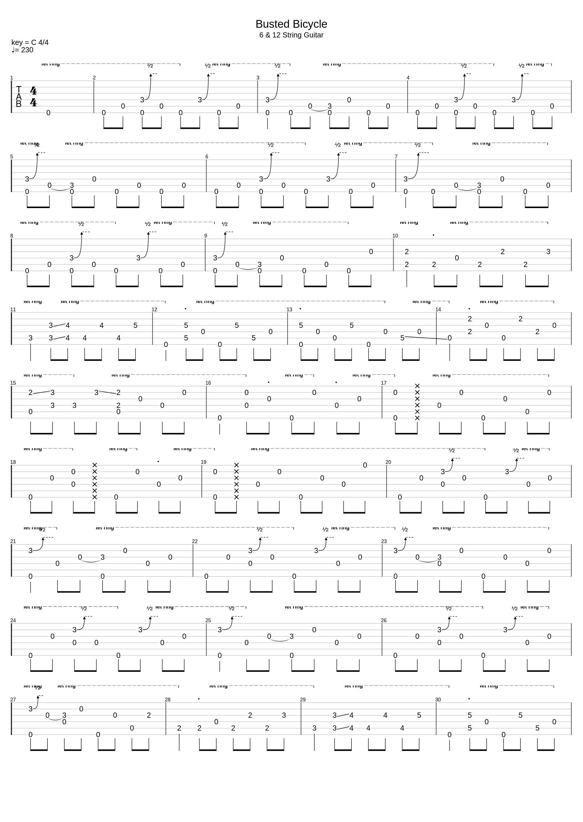 Busted Bicycle_Leo Kottke_1