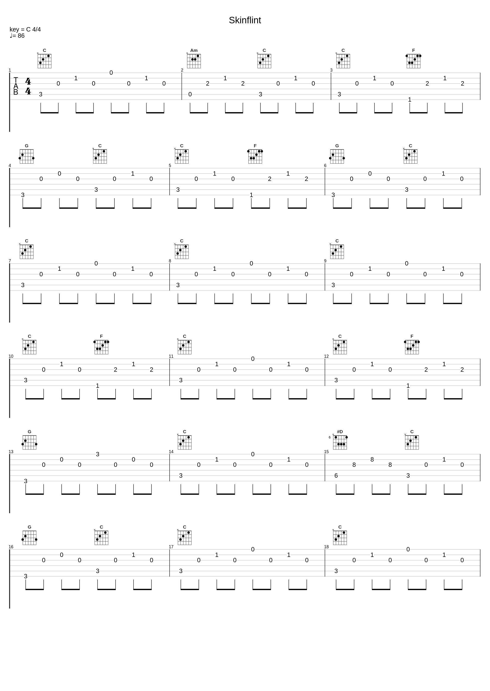 Skinflint_Leo Kottke_1