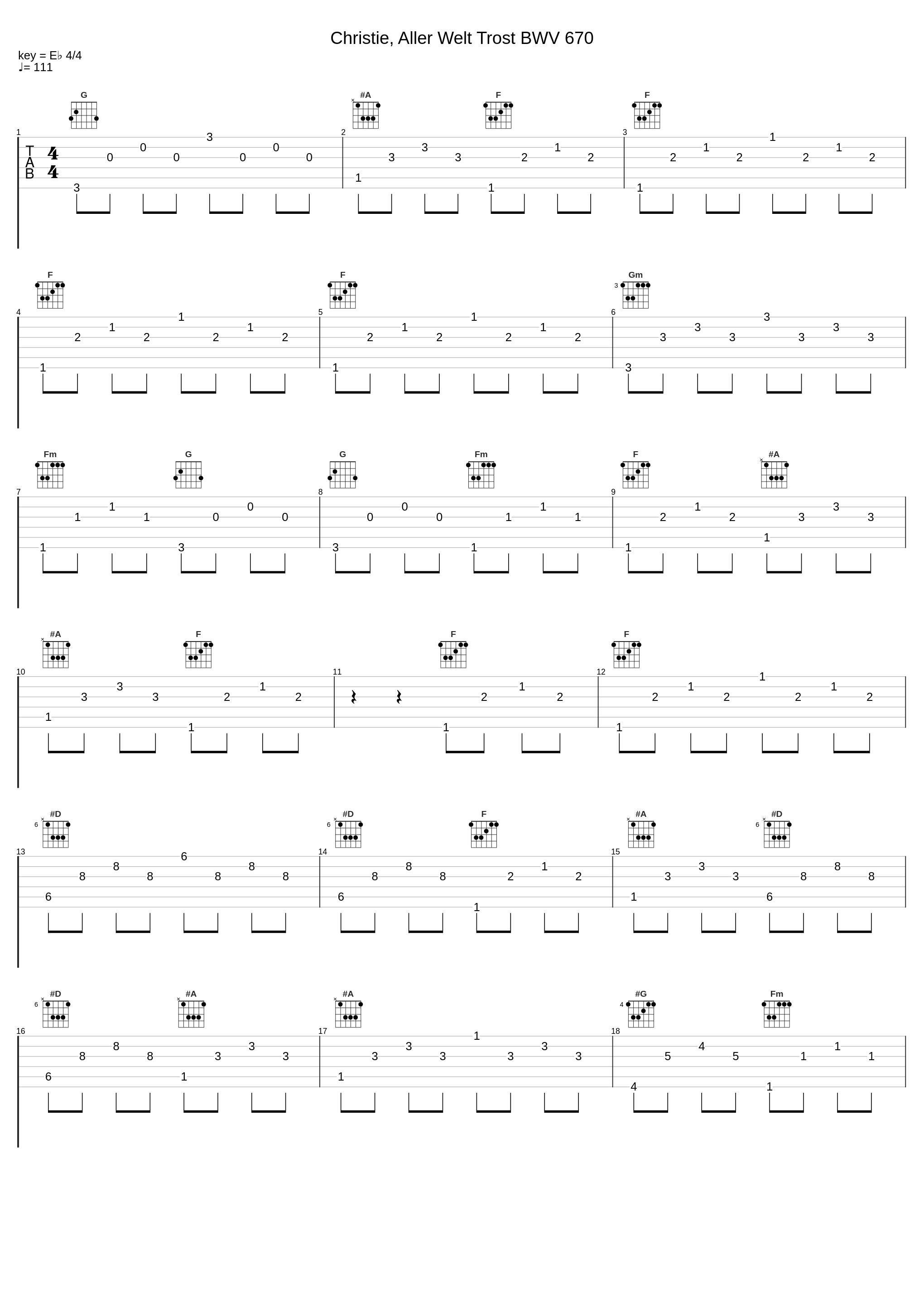 Christie, Aller Welt Trost BWV 670_Netherlands Bach Society,Leo van Doeselaar,Johann Sebastian Bach,Jos van Veldhoven_1