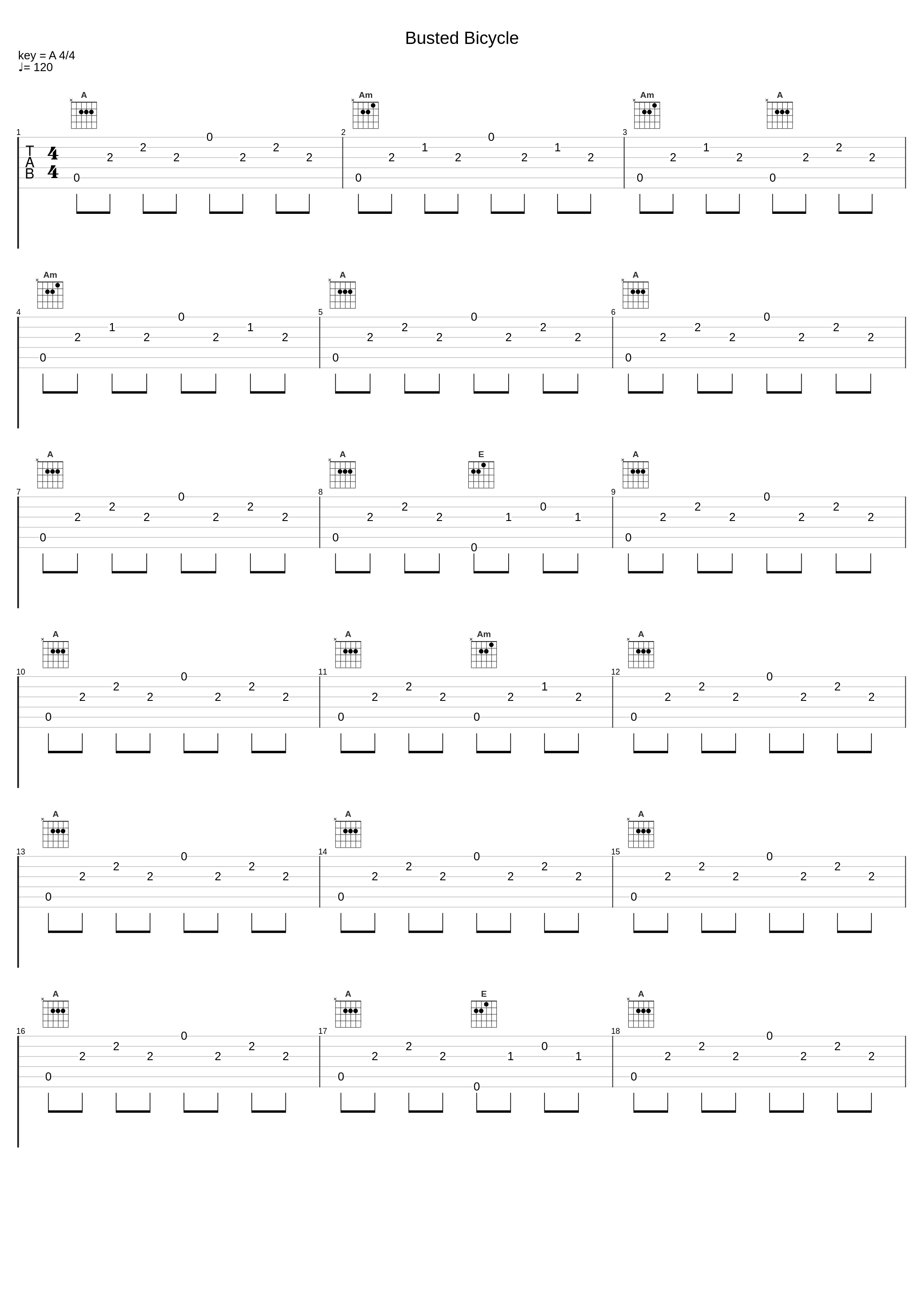 Busted Bicycle_Leo Kottke_1