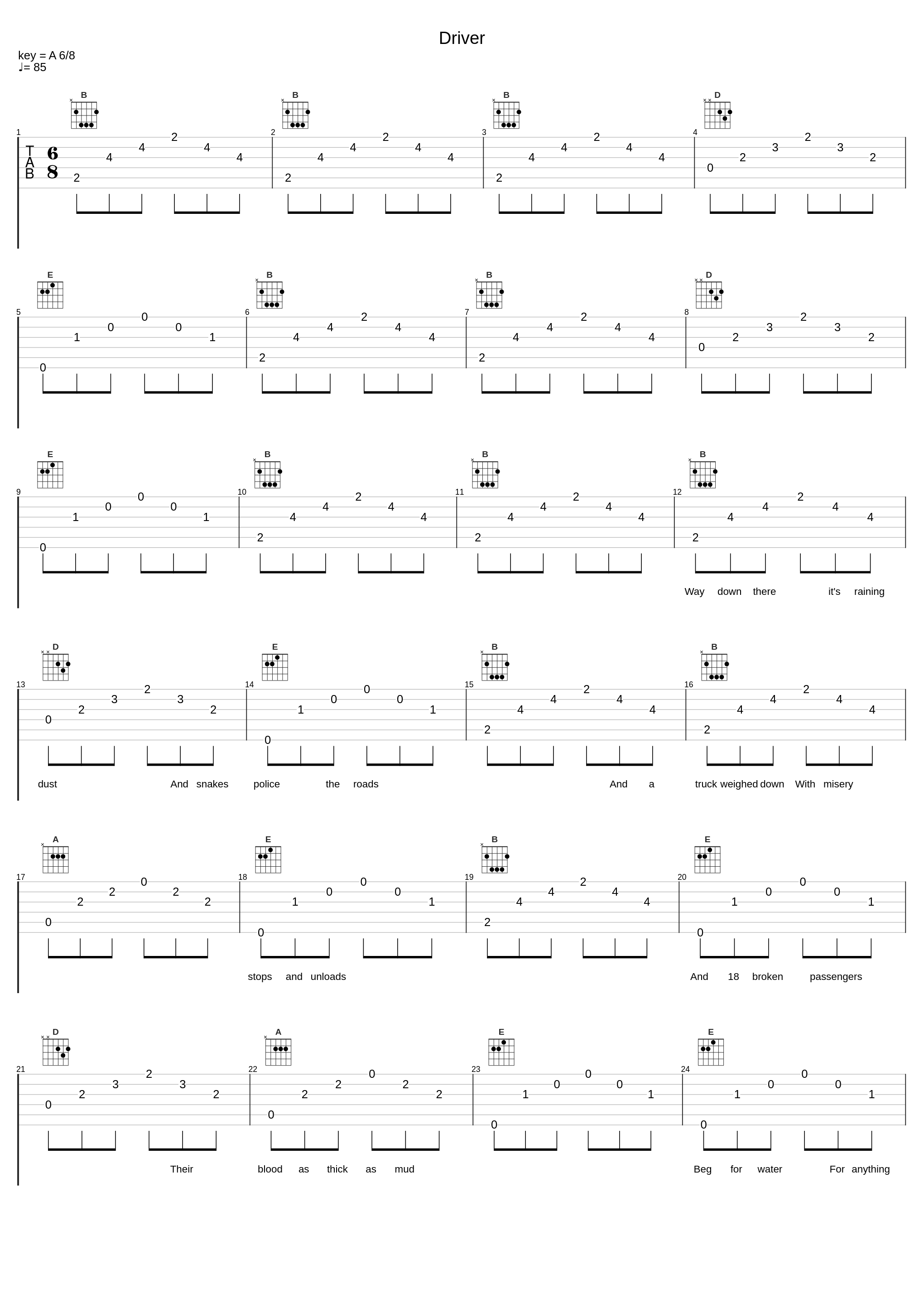 Driver_Leo Kottke_1