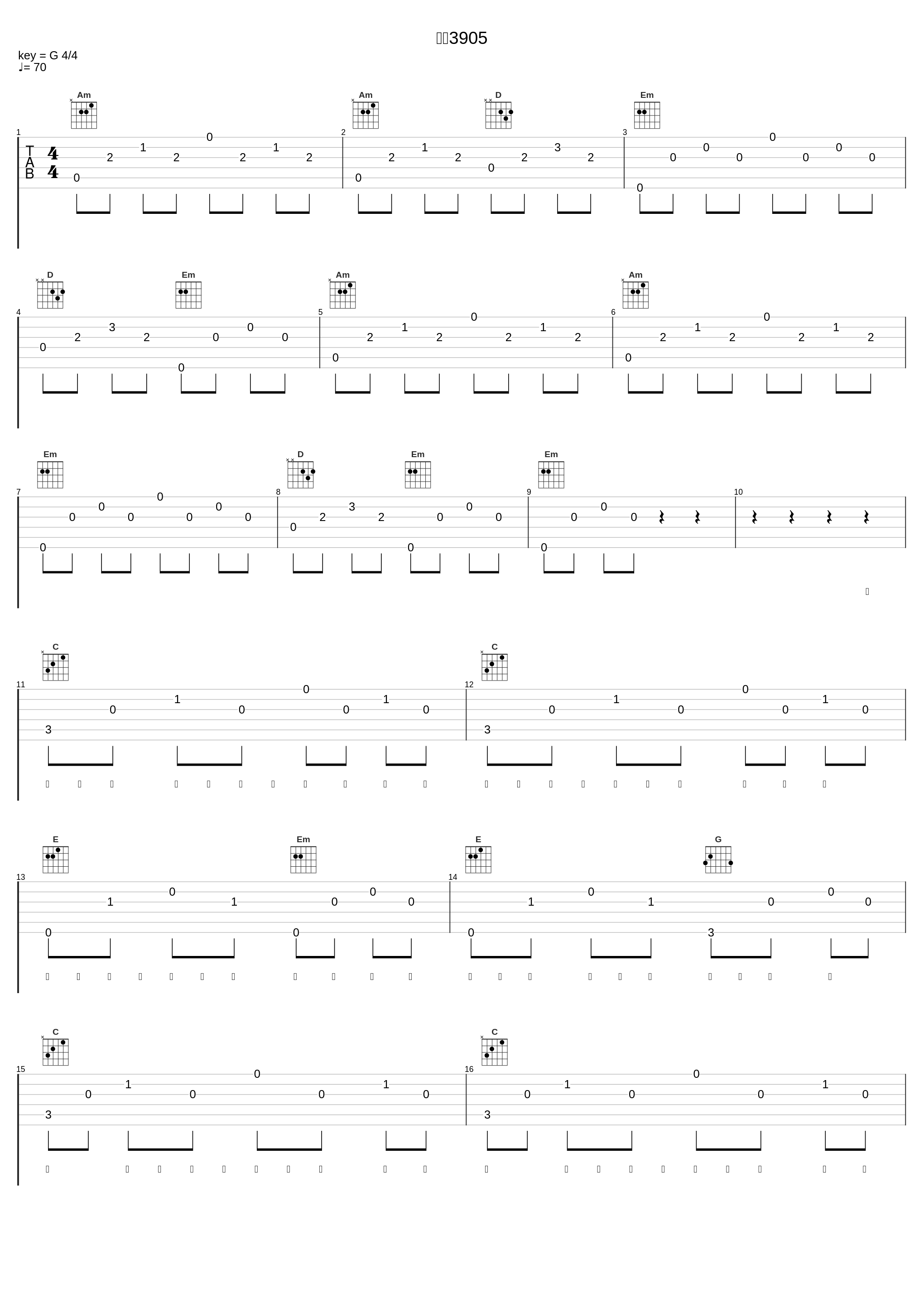 重庆3905_王啸坤_1