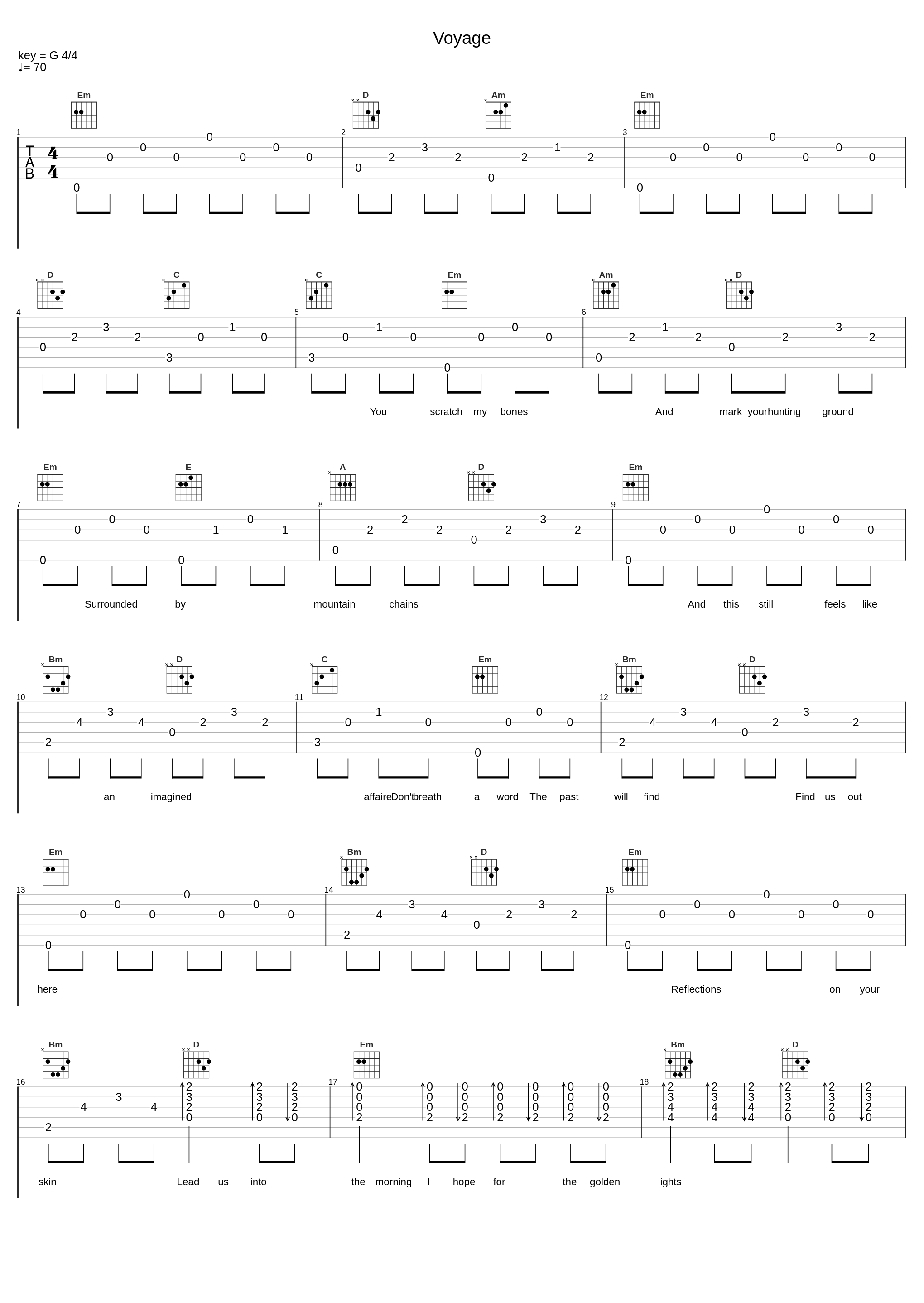 Voyage_Atlas Bird_1