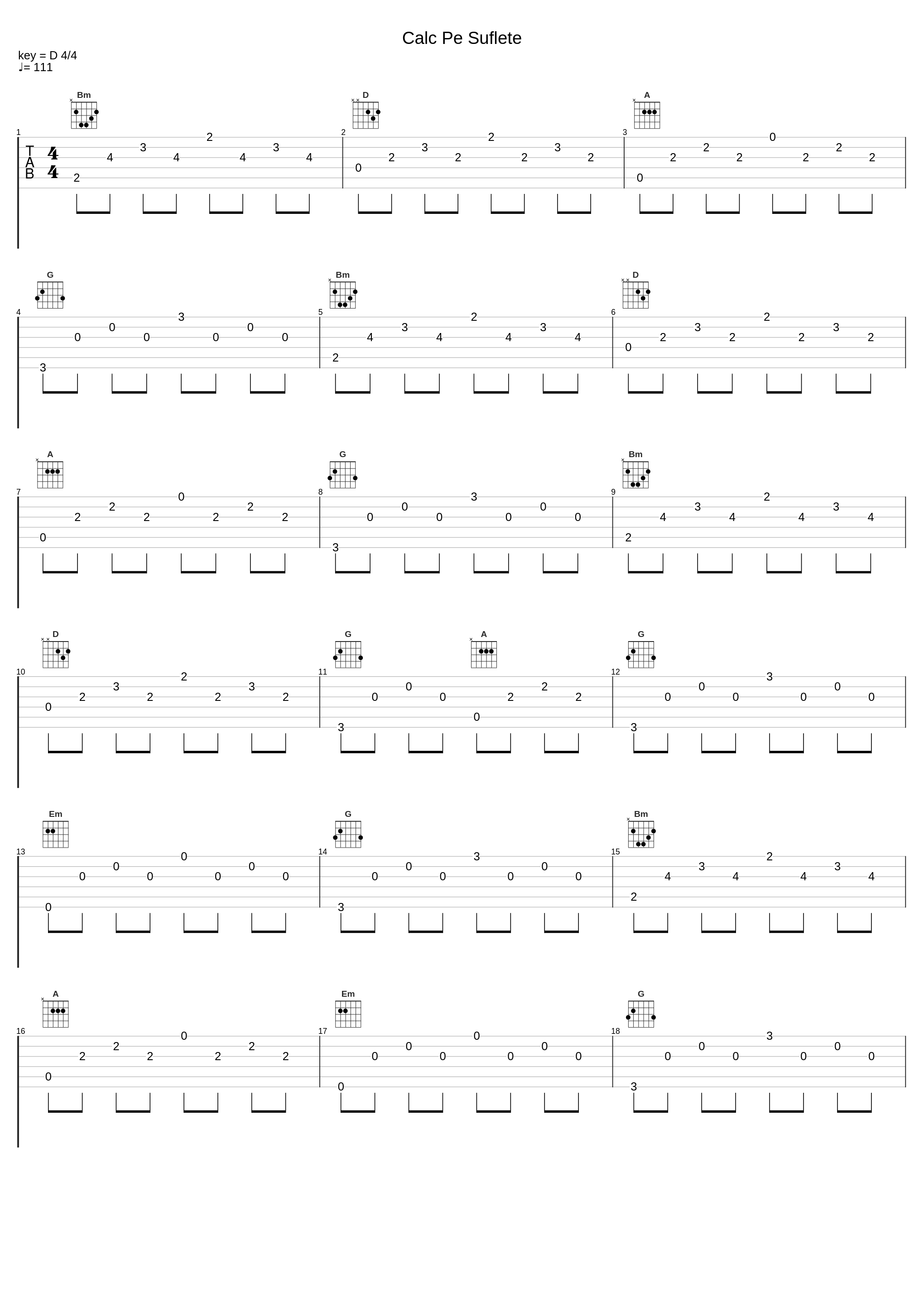 Calc Pe Suflete_Randi_1