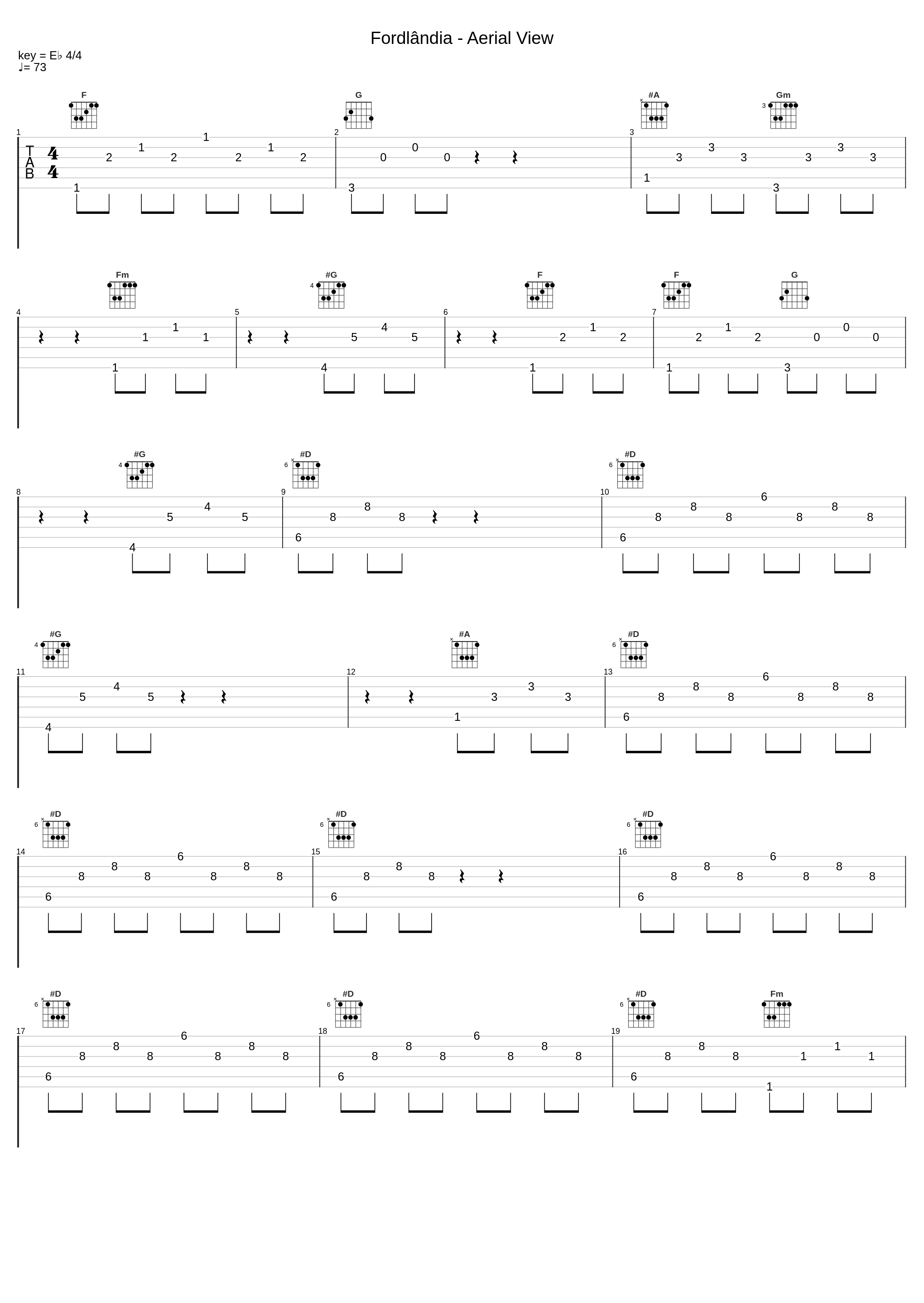 Fordlândia - Aerial View_Jóhann Jóhannsson_1