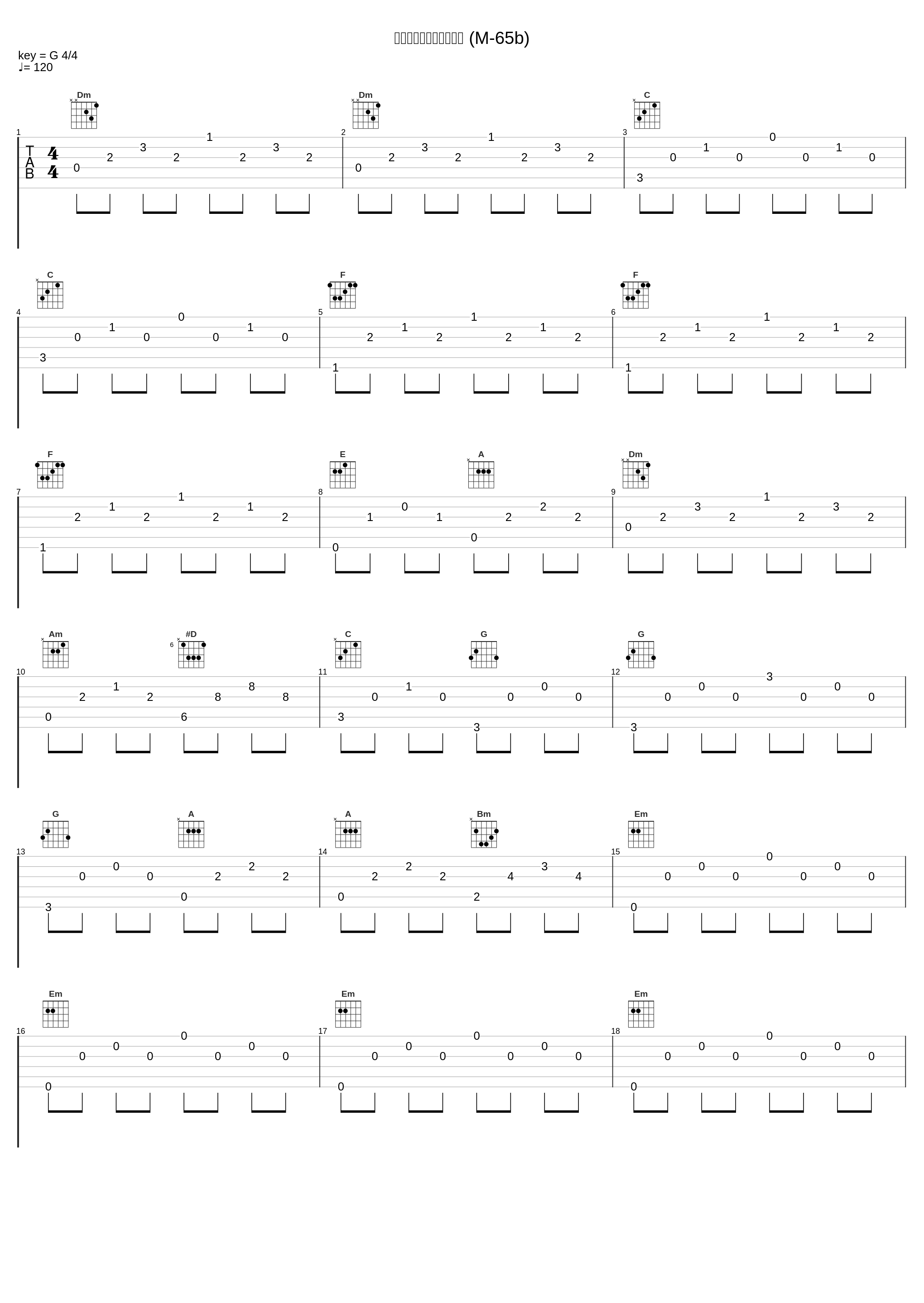 ダイナストロングタイプ (M-65b)_小西貴雄_1