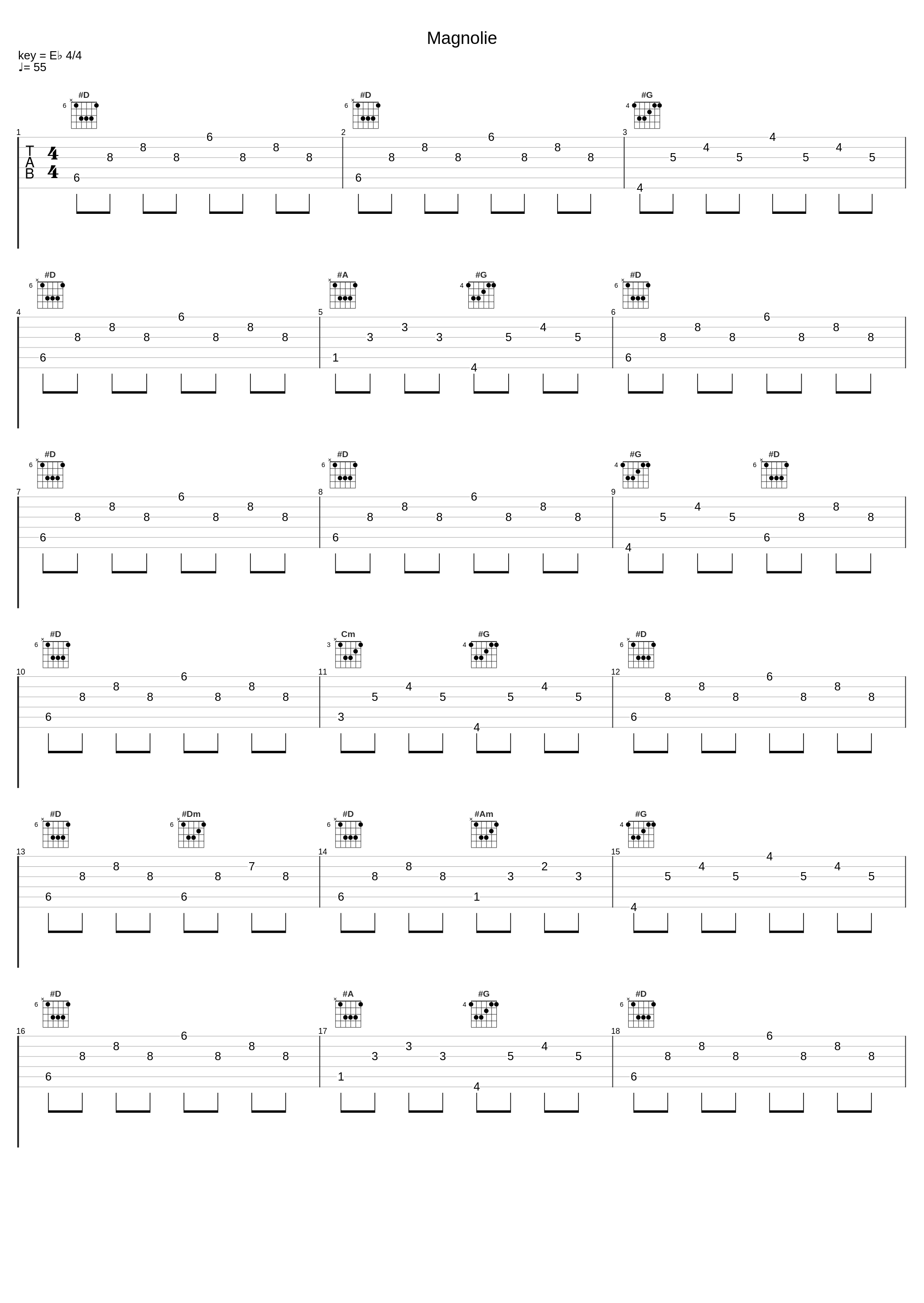 Magnolie_Norbert Schneider_1