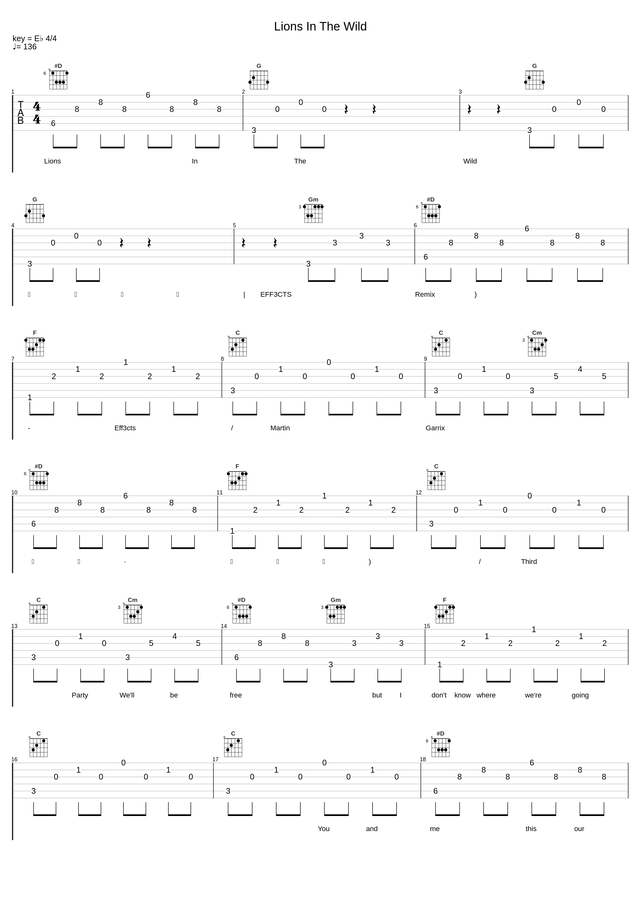 Lions In The Wild_Eff3cts,Martin Garrix,Third Party_1