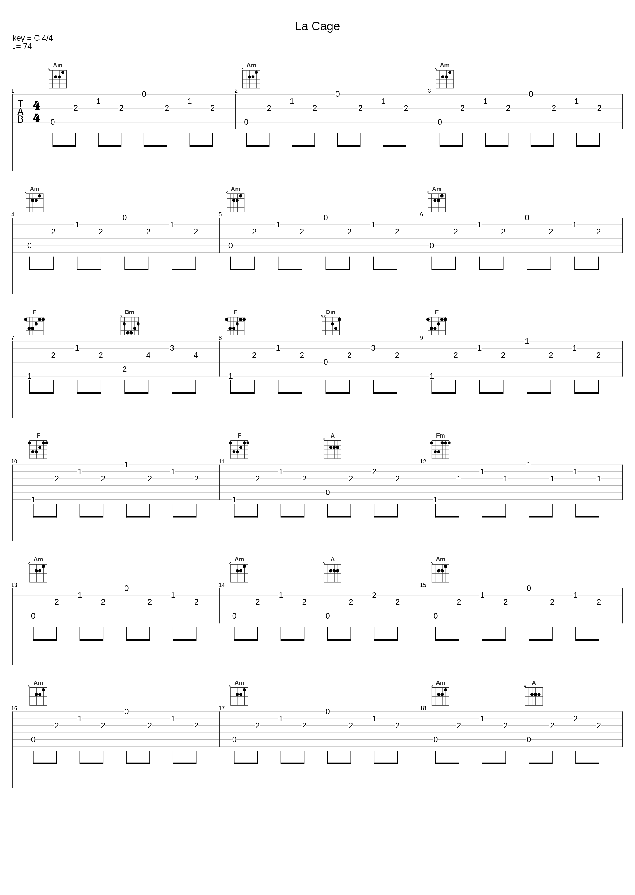 La Cage_Bruno Coulais_1