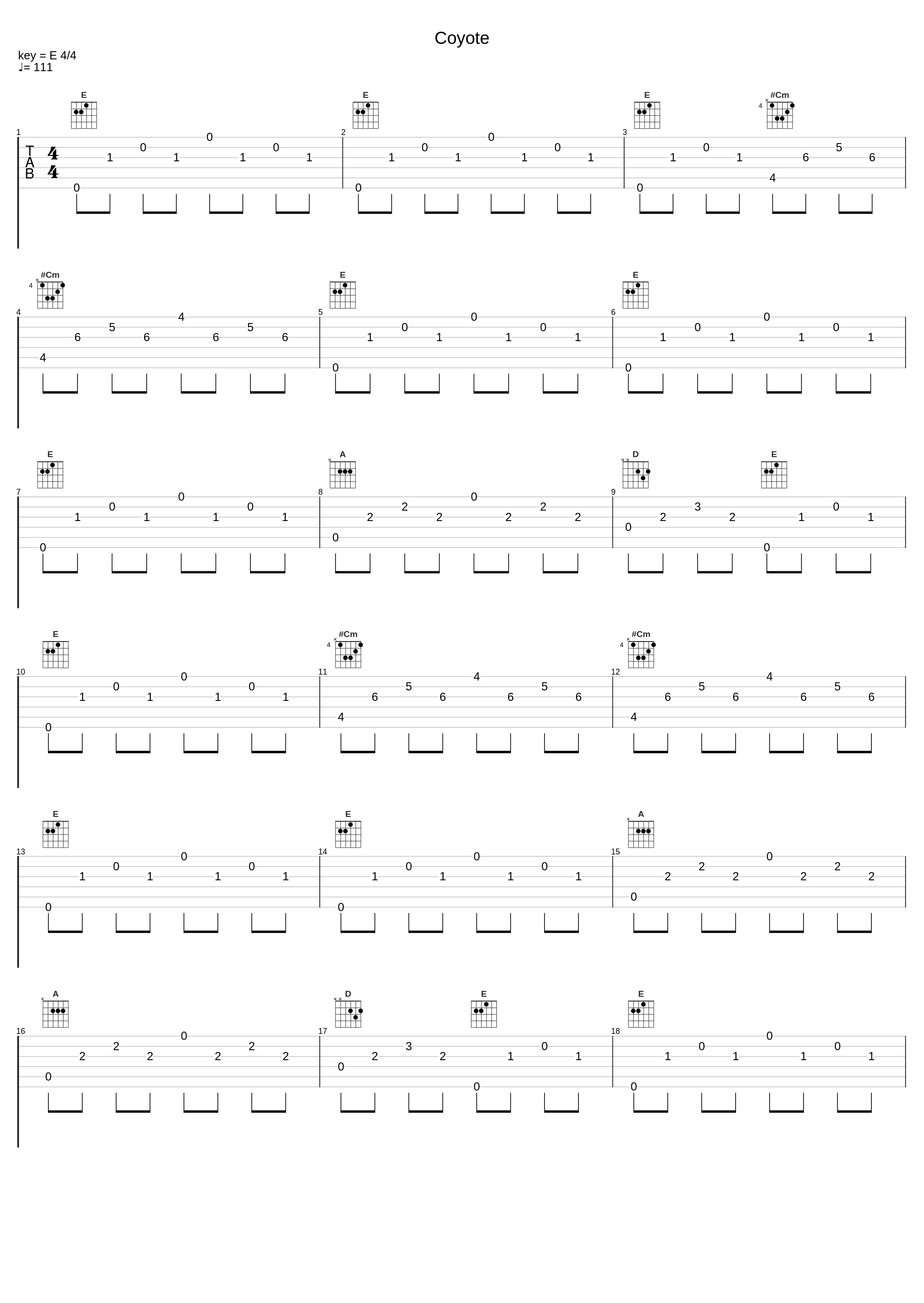 Coyote_Wool Strings_1