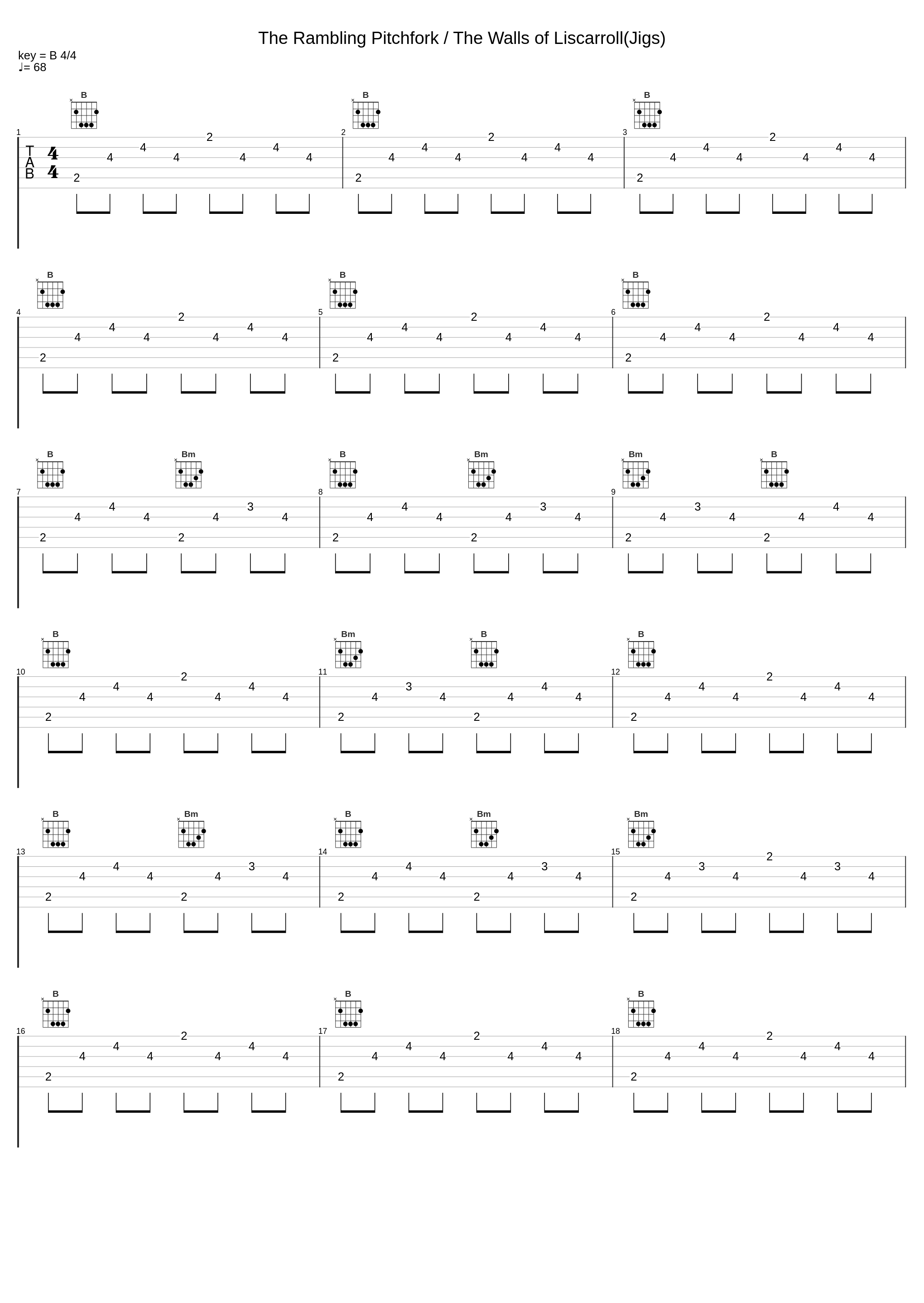 The Rambling Pitchfork / The Walls of Liscarroll(Jigs)_Paddy Glackin,Robbie Hannan_1