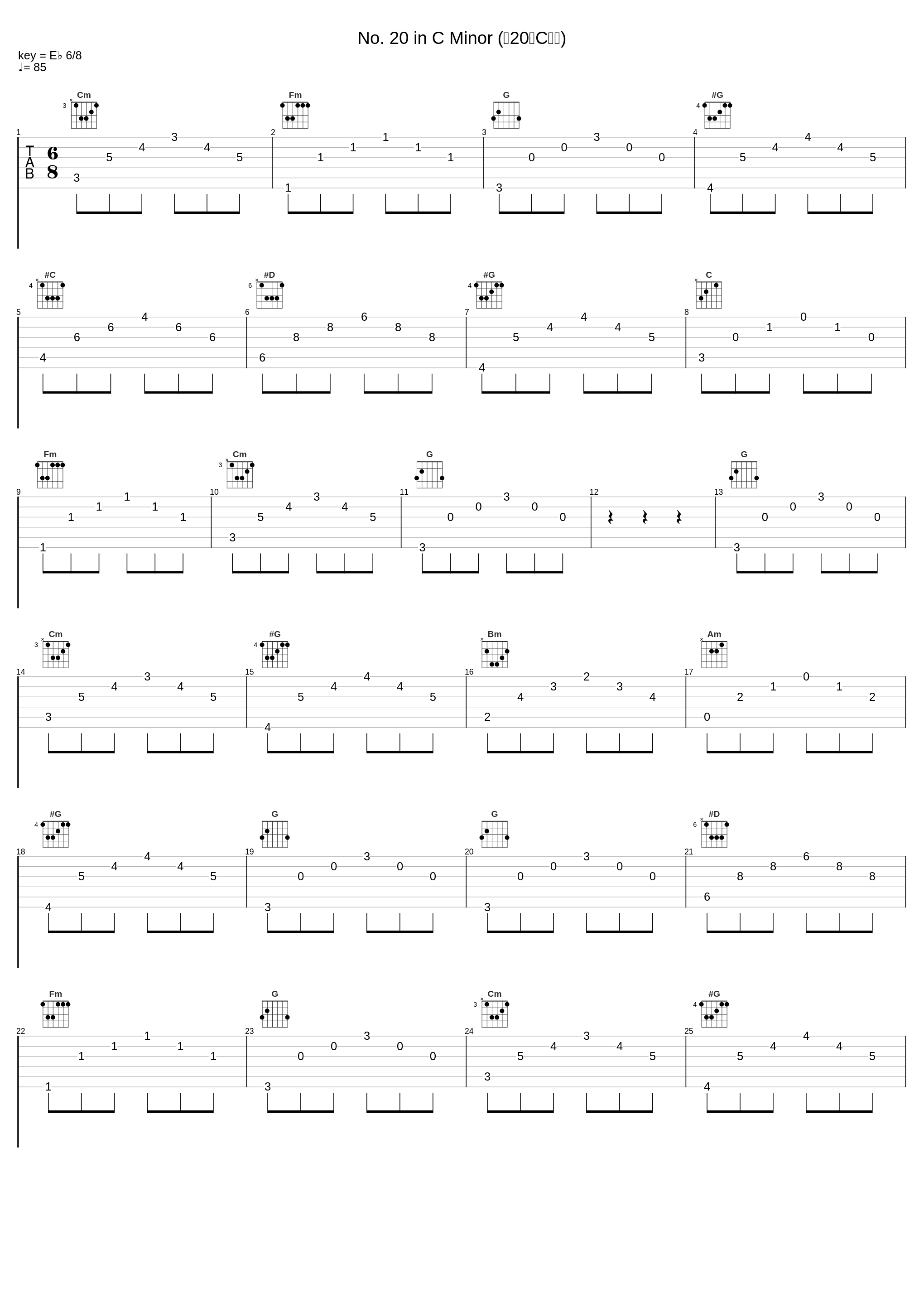 No. 20 in C Minor (第20首C小调)_李云迪_1