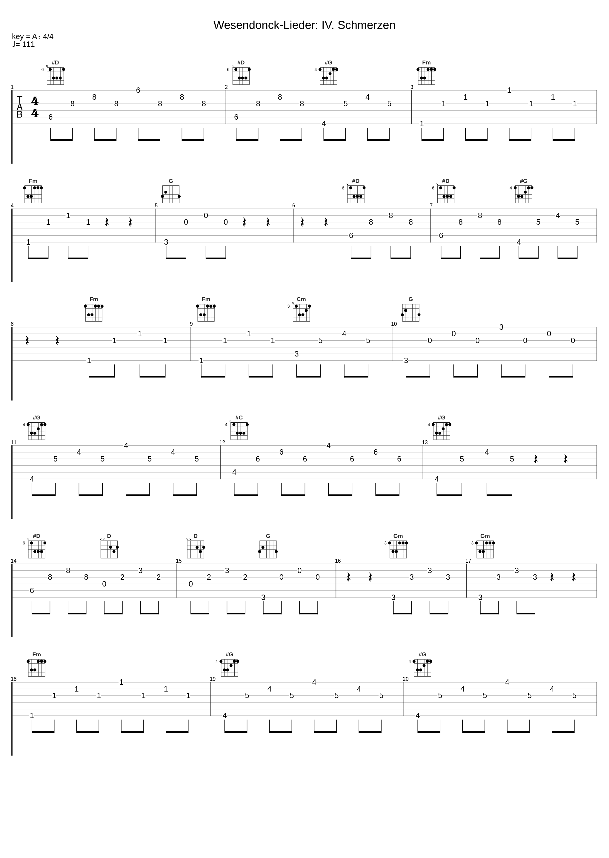 Wesendonck-Lieder: IV. Schmerzen_René Kollo,Orchester der Deutschen Oper Berlin,Christian Thielemann_1