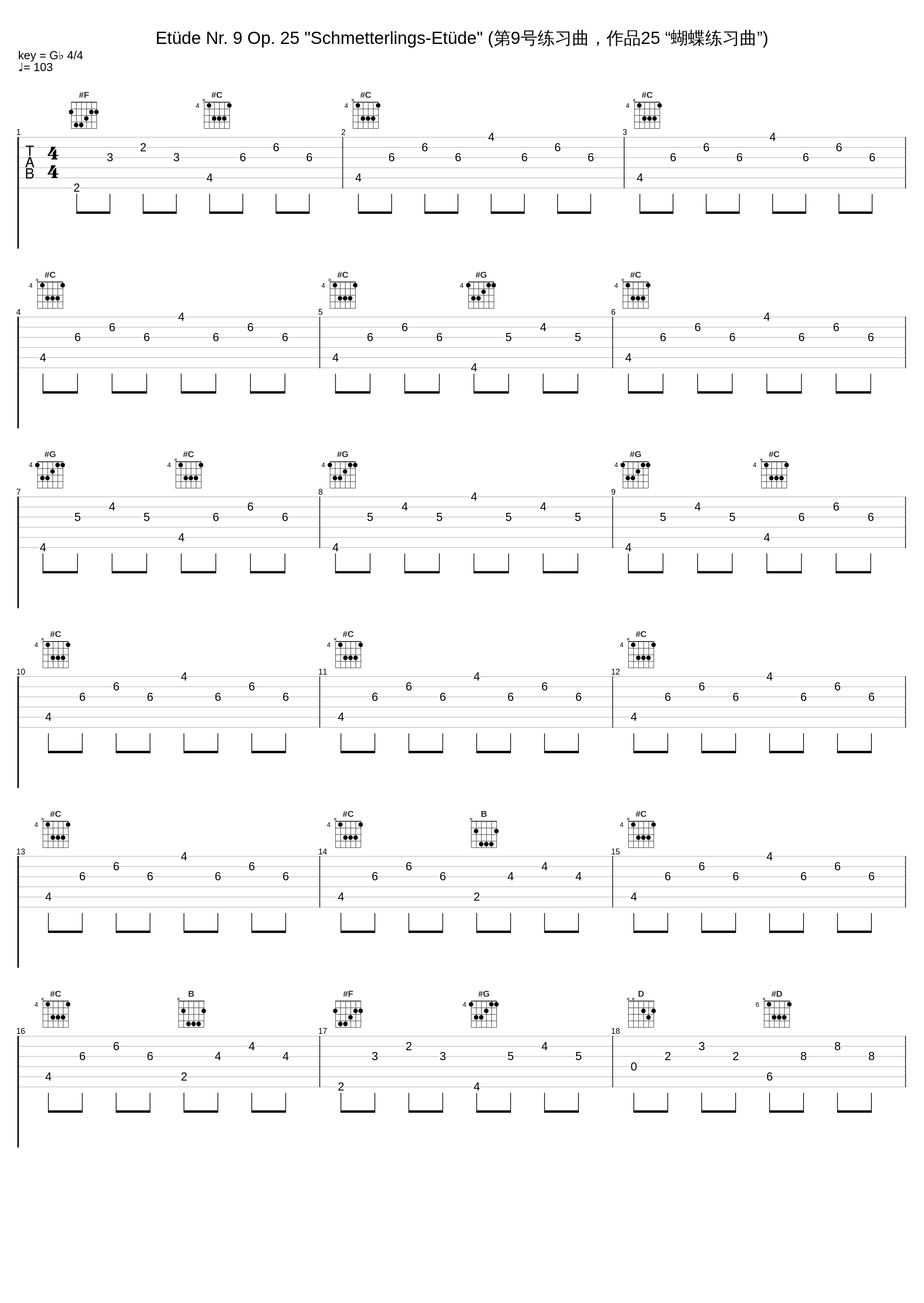 Etüde Nr. 9 Op. 25 "Schmetterlings-Etüde" (第9号练习曲，作品25 “蝴蝶练习曲”)_Otto Paul Riedel_1