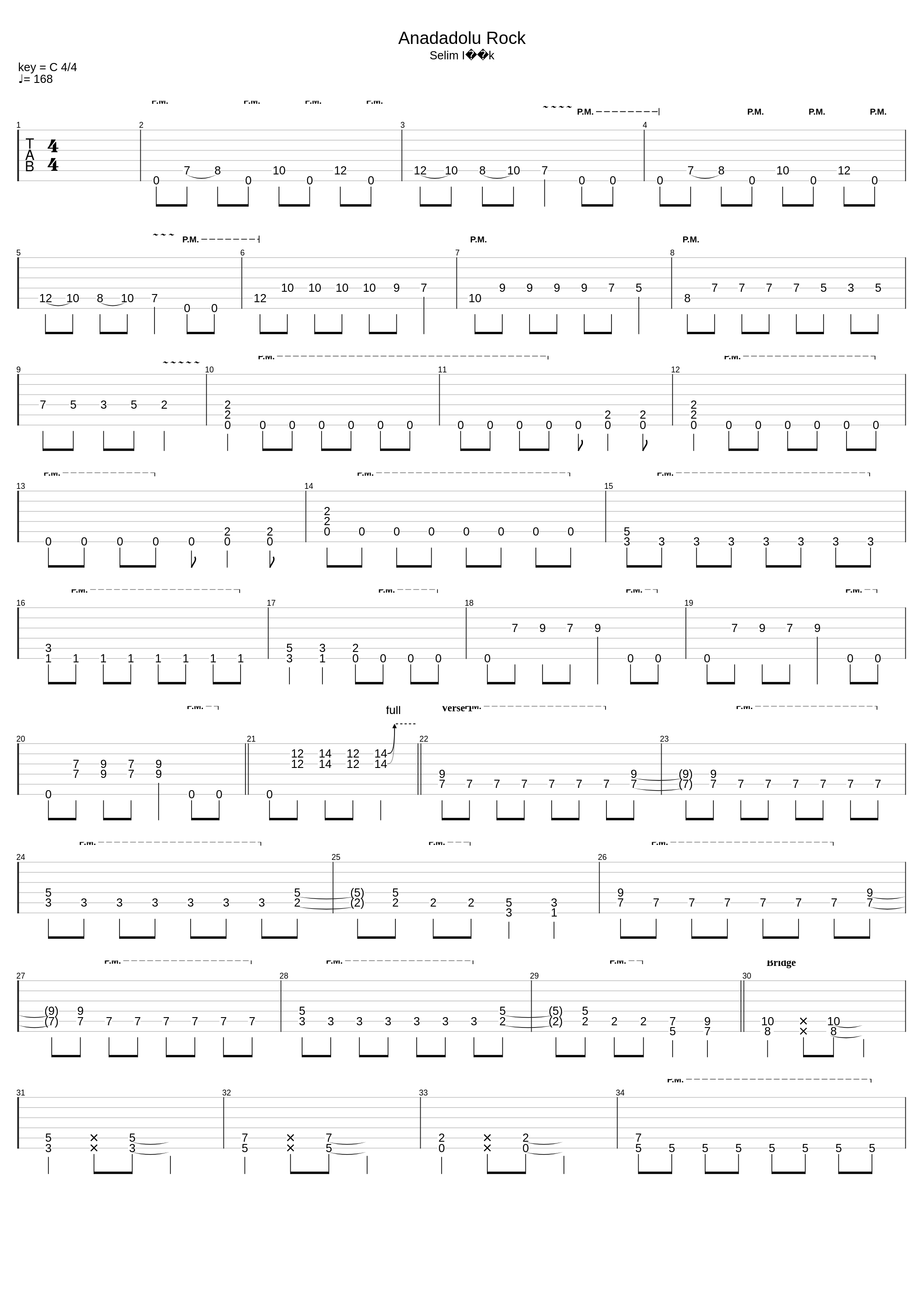 Anadolu Rock_Selim Işık_1