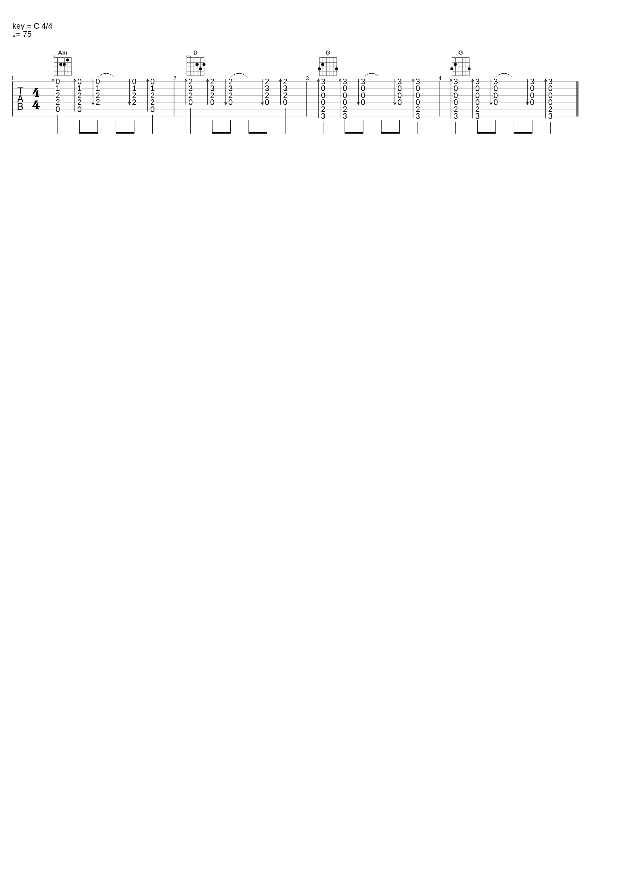 Lesson 2c_Strummerr_1