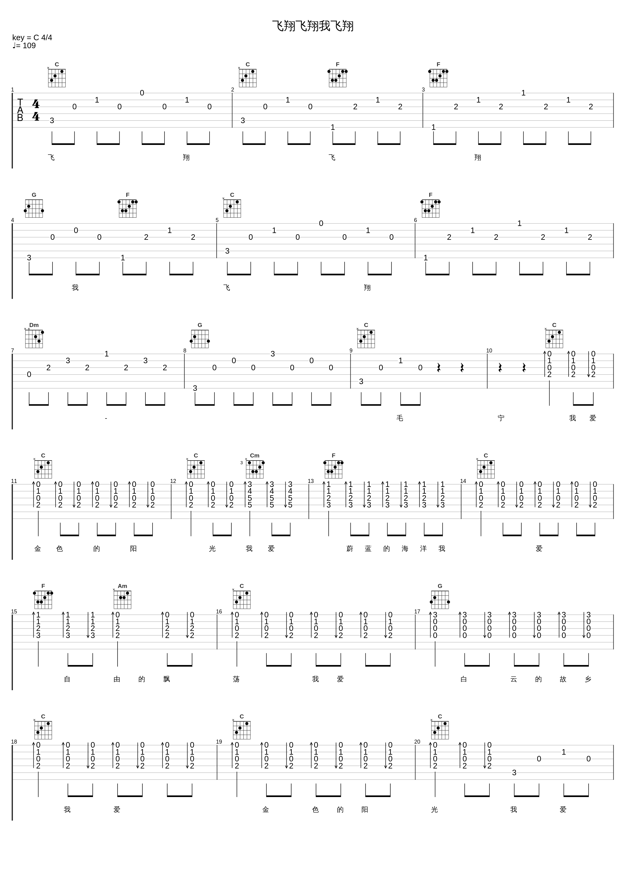 飞翔飞翔我飞翔_毛宁_1