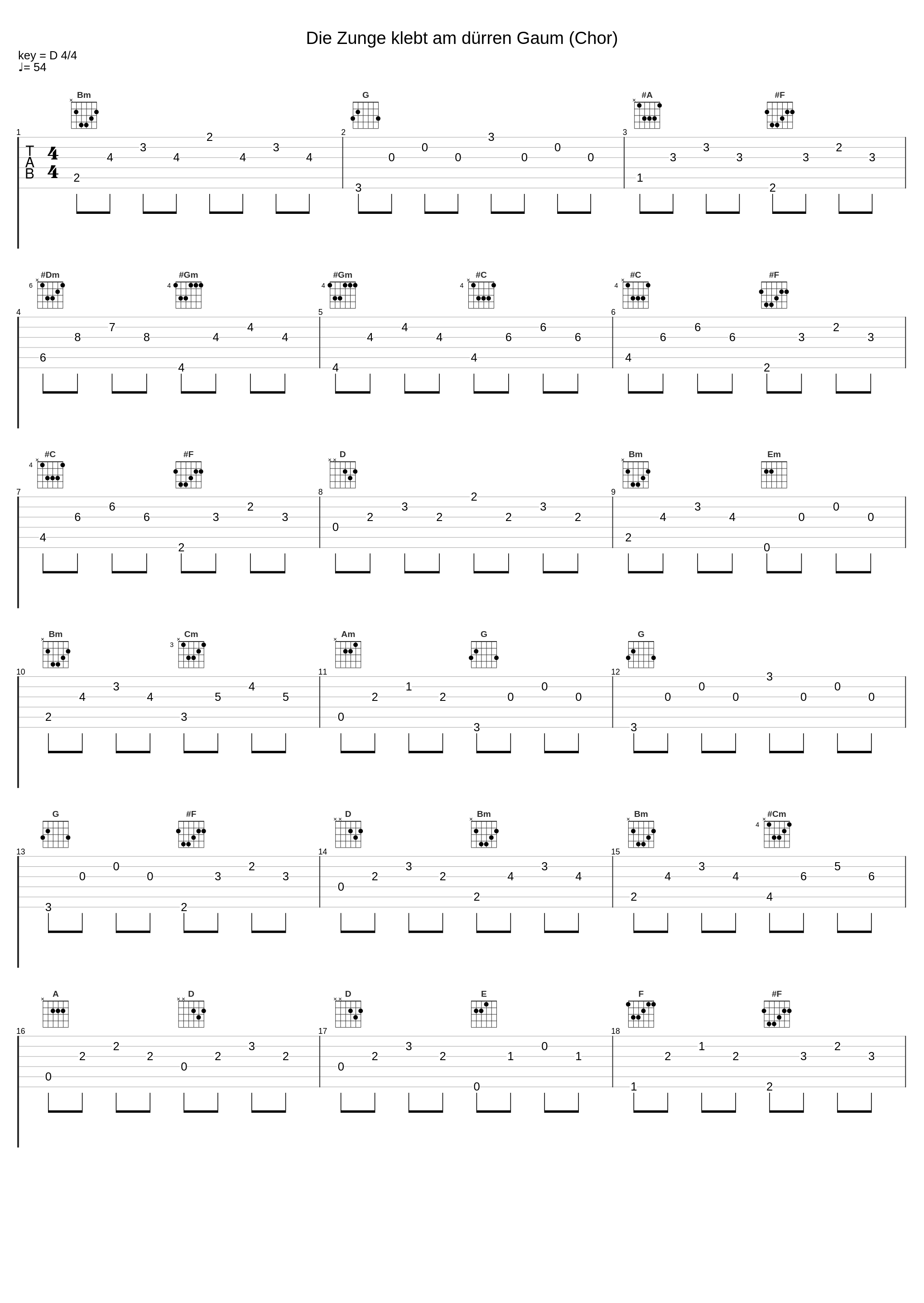 Die Zunge klebt am dürren Gaum (Chor)_Chorus Musicus Köln,Christoph Spering_1