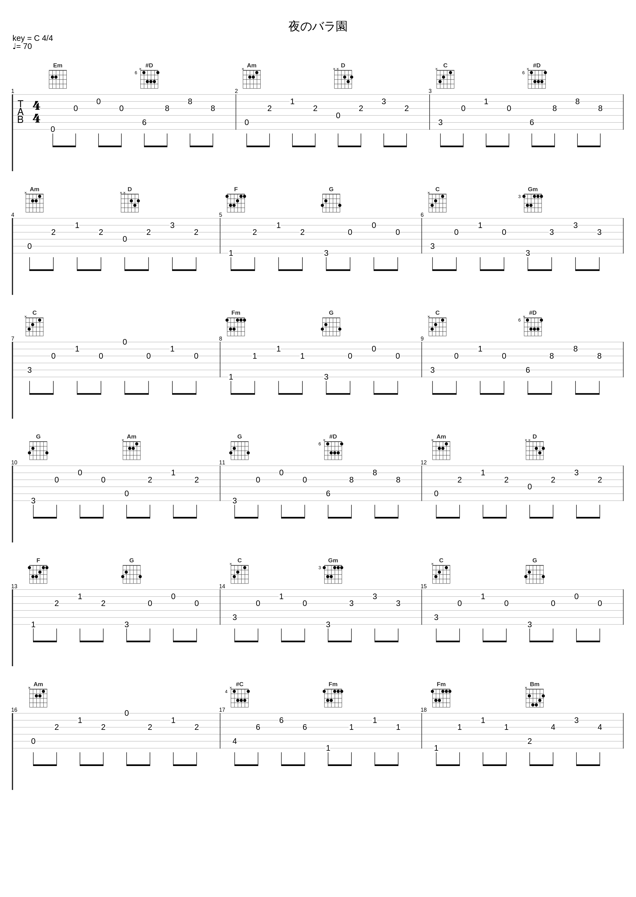 夜のバラ園_GONTITI_1