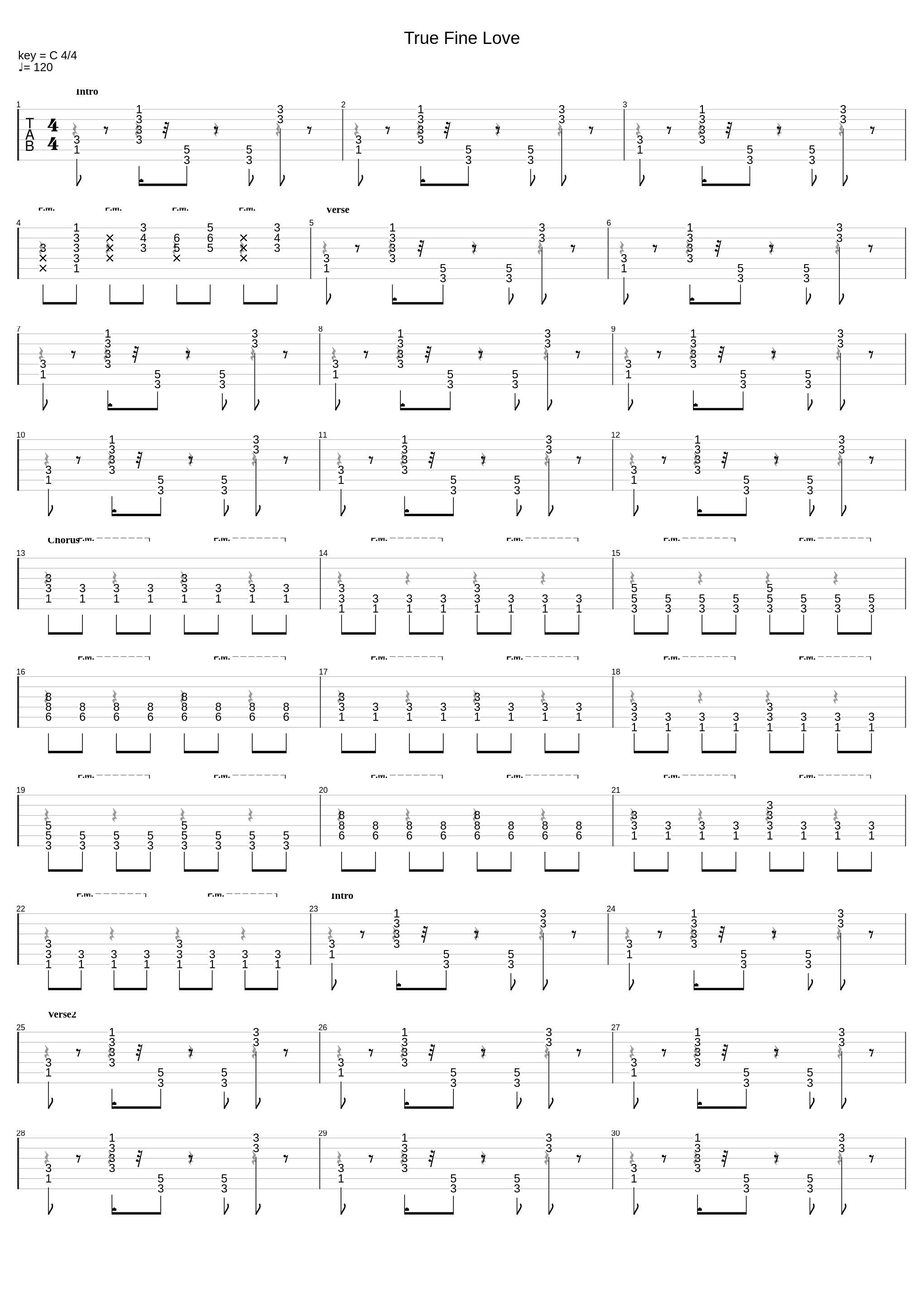 True Fine Love_Steve Miller Band_1