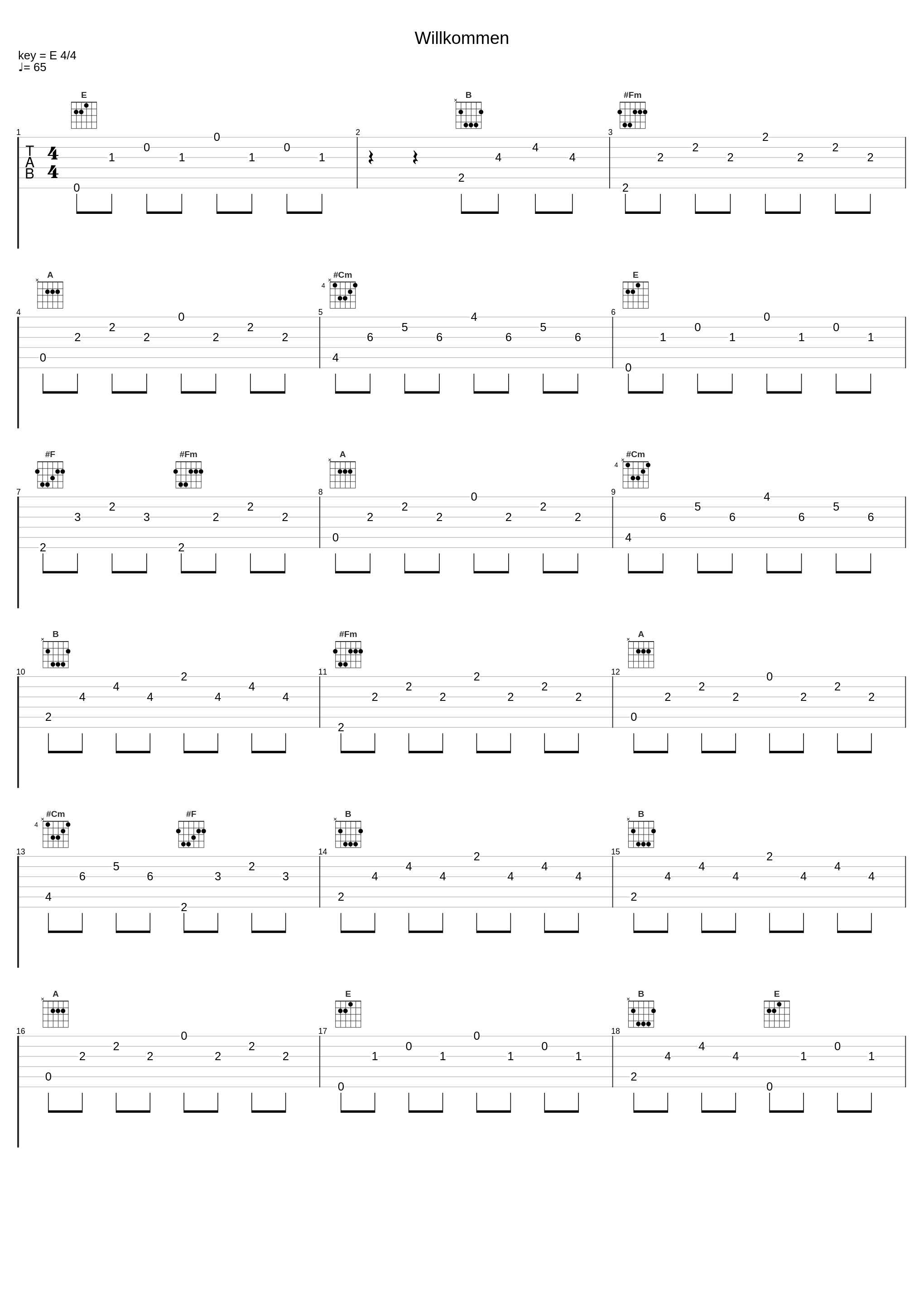 Willkommen_Joel Brandenstein_1