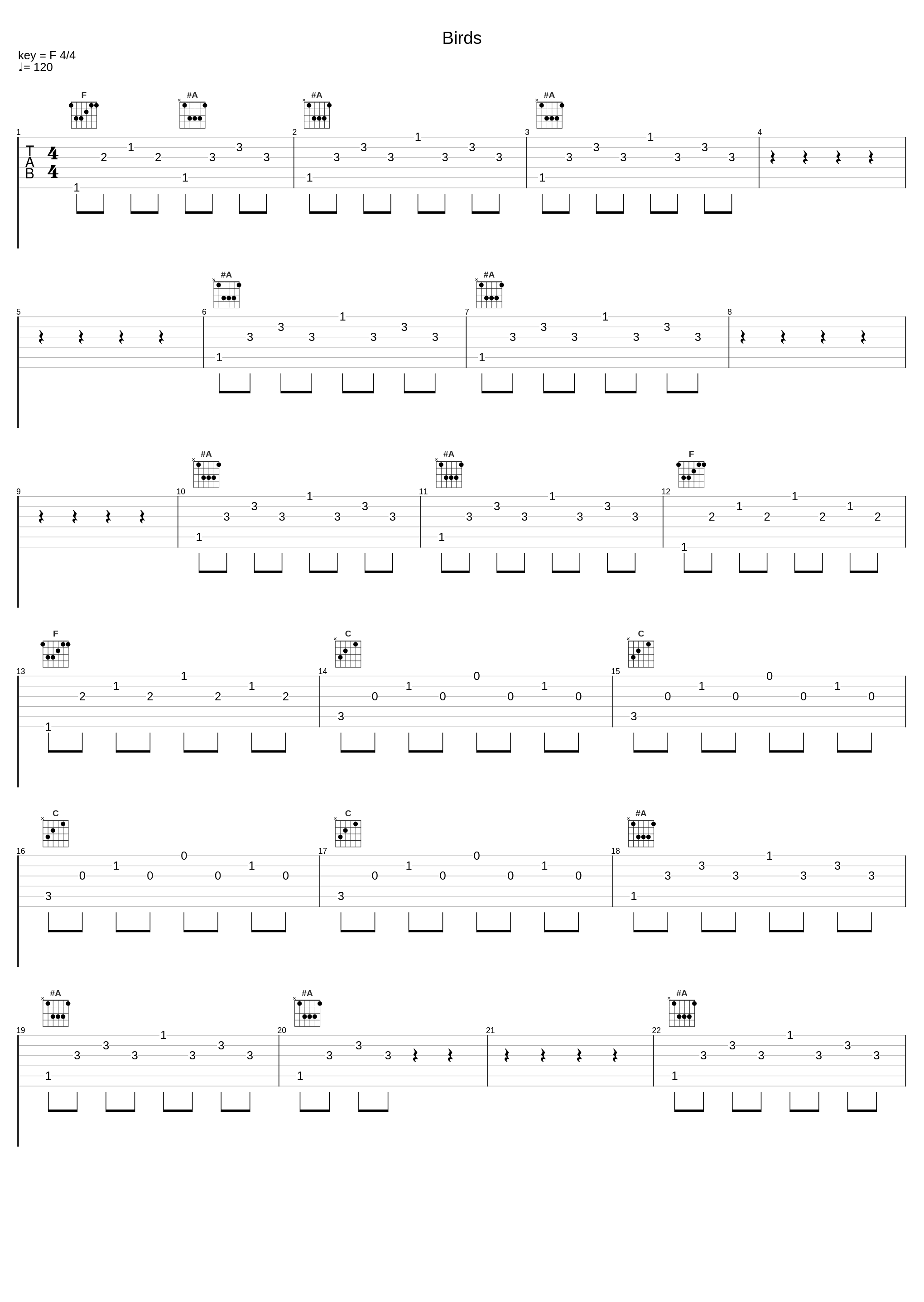 Birds_TRACE,Rick Van Der Linden,Jaap van Eijk,Pierre van der Linden_1