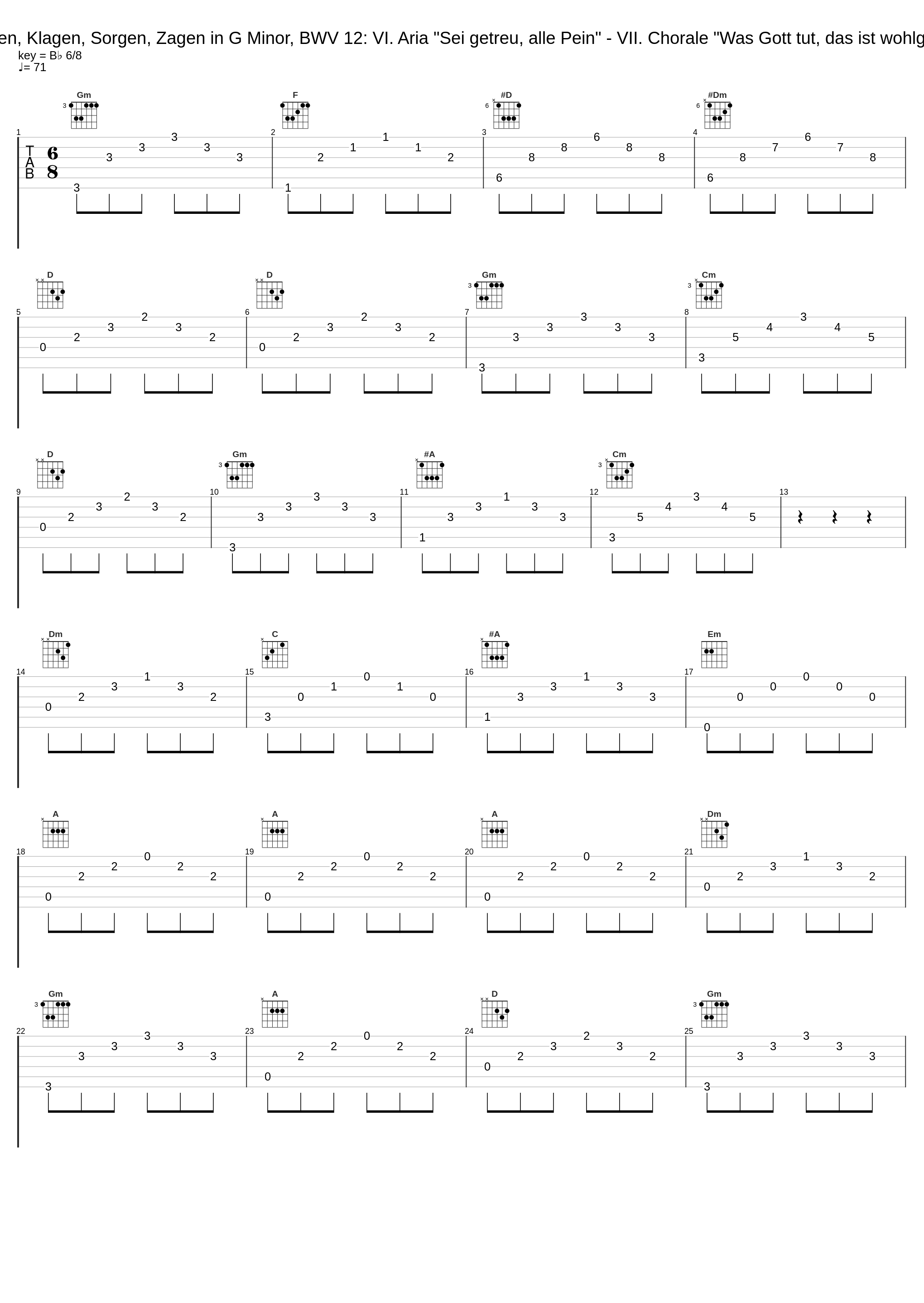 Weinen, Klagen, Sorgen, Zagen in G Minor, BWV 12: VI. Aria "Sei getreu, alle Pein" - VII. Chorale "Was Gott tut, das ist wohlgetan"_Vox Luminis,Lionel Meunier,Reinoud Van Mechelen,Johann Sebastian Bach,Anonymous_1