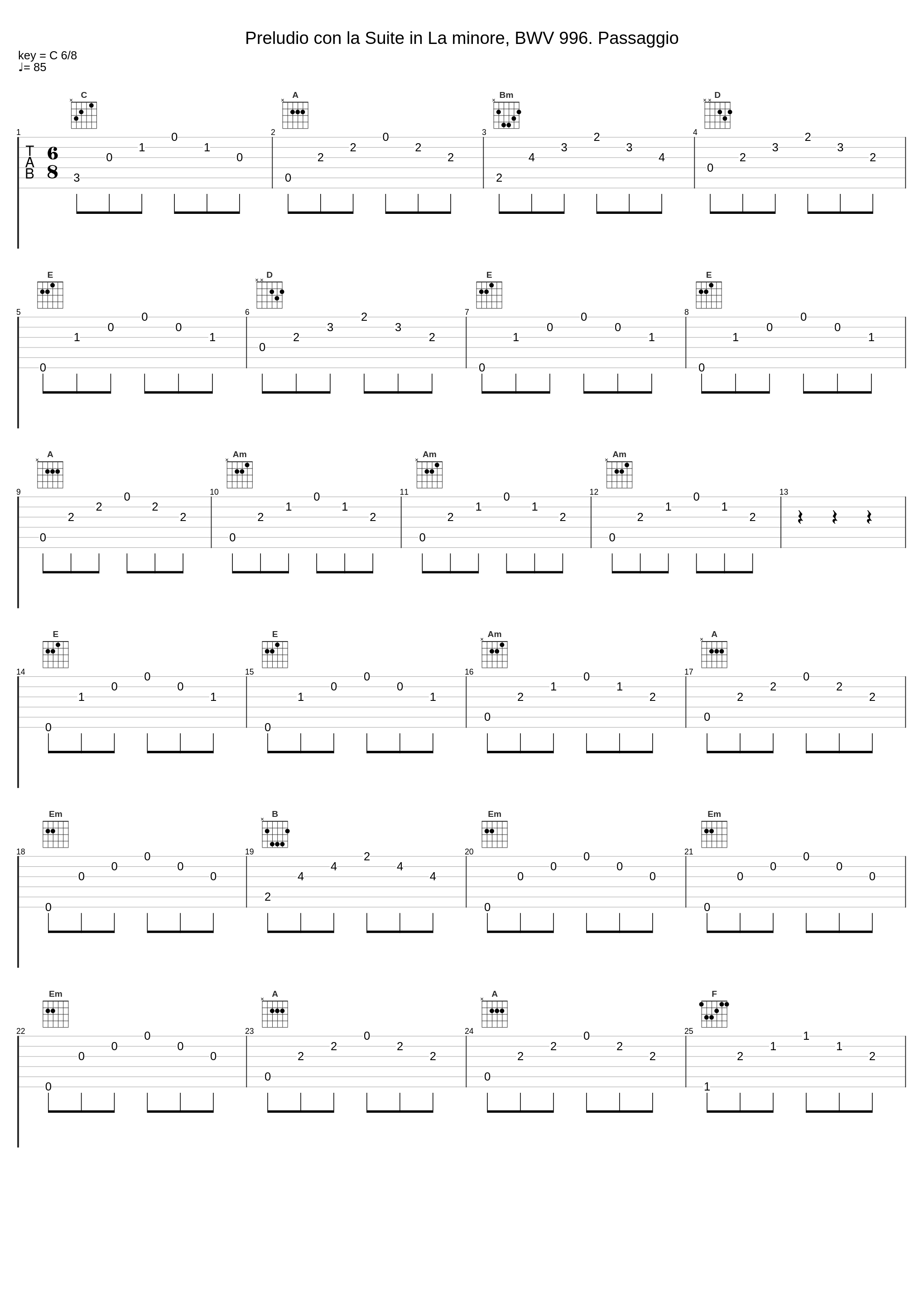 Preludio con la Suite in La minore, BWV 996. Passaggio_Cristiana Passerini,Johann Sebastian Bach_1