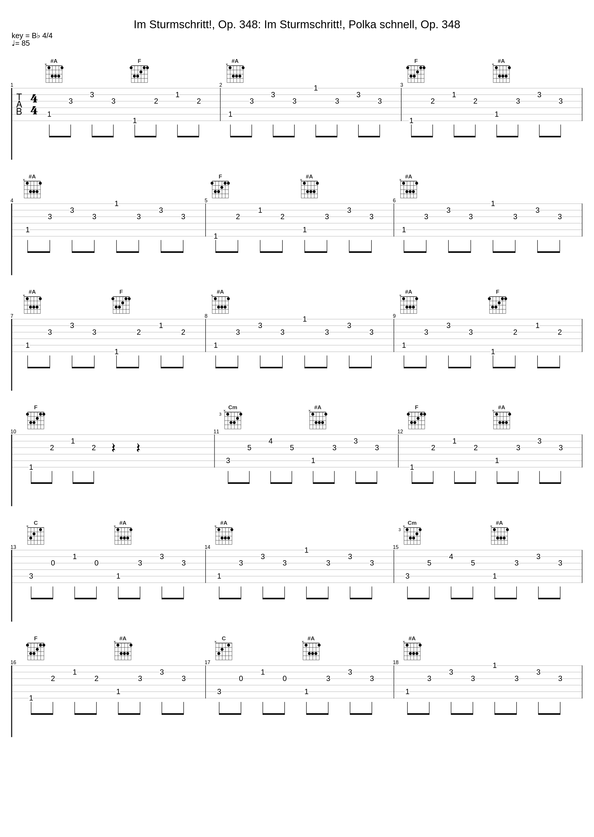 Im Sturmschritt!, Op. 348: Im Sturmschritt!, Polka schnell, Op. 348_Slovak Philharmonic Orchestra,Johannes Wildner,Johann Strauss Jr._1