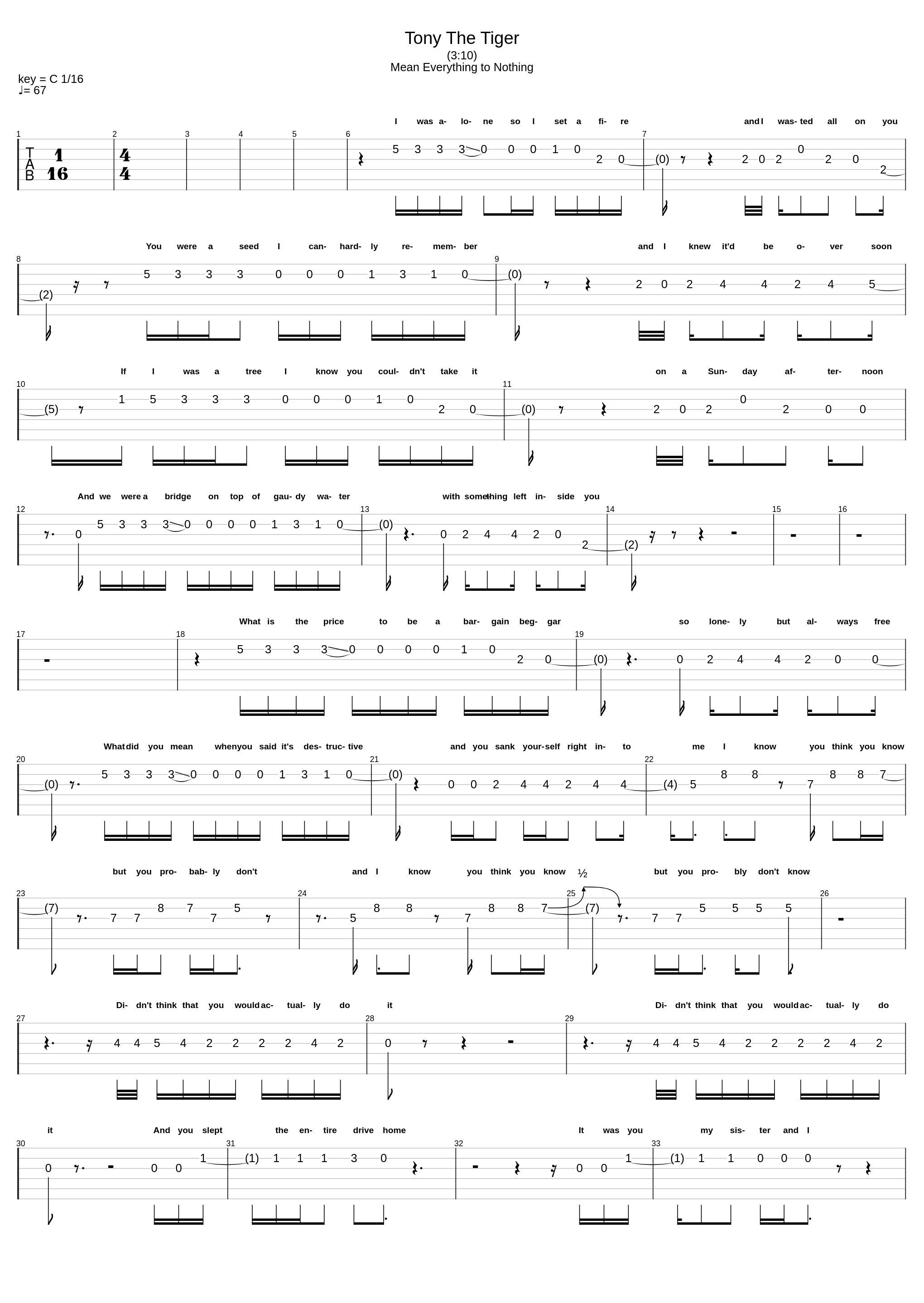 Tony The Tiger_Manchester Orchestra_1