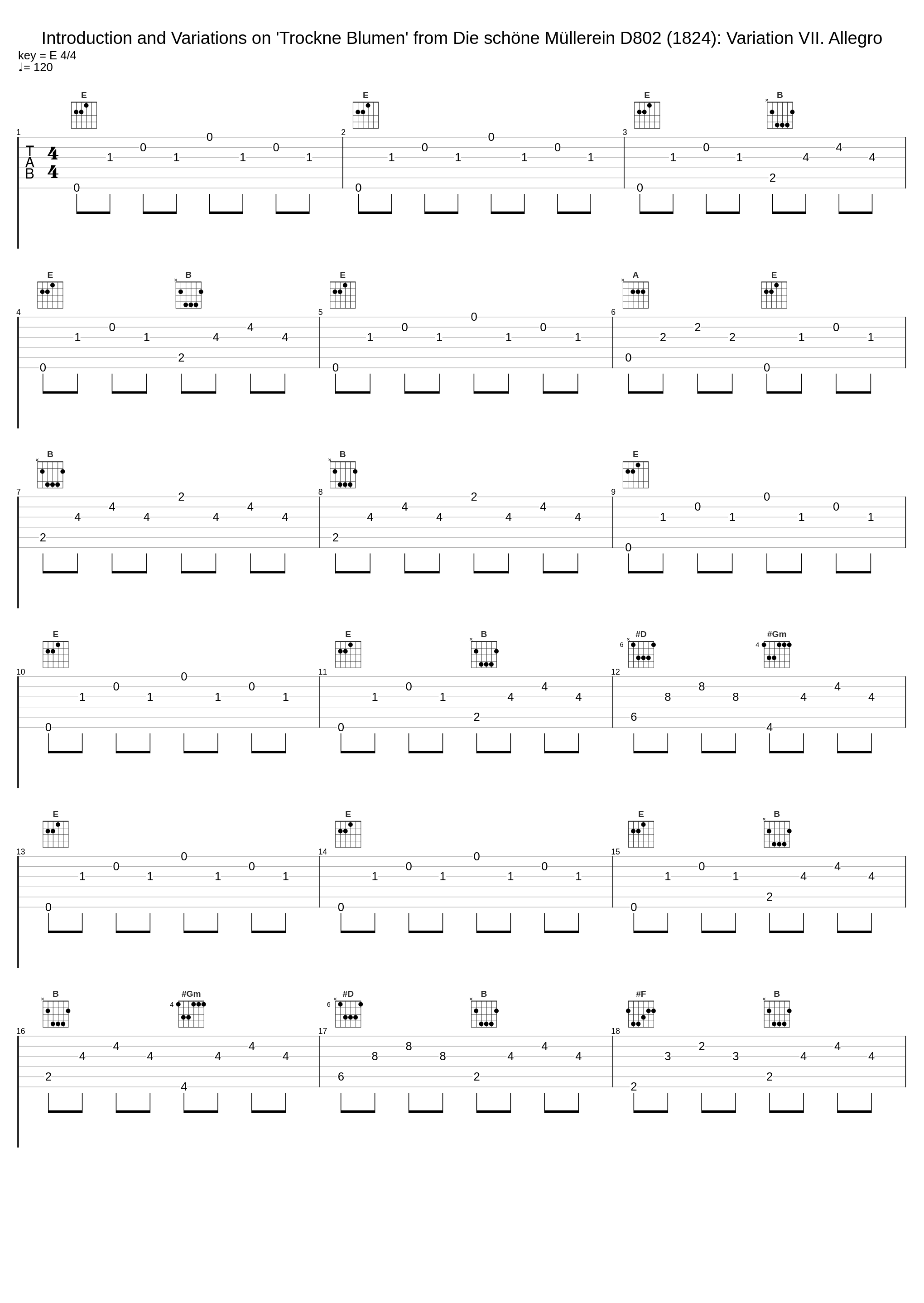 Introduction and Variations on 'Trockne Blumen' from Die schöne Müllerein D802 (1824): Variation VII. Allegro_Hansgeorg Schmeiser,Matteo Fossi_1