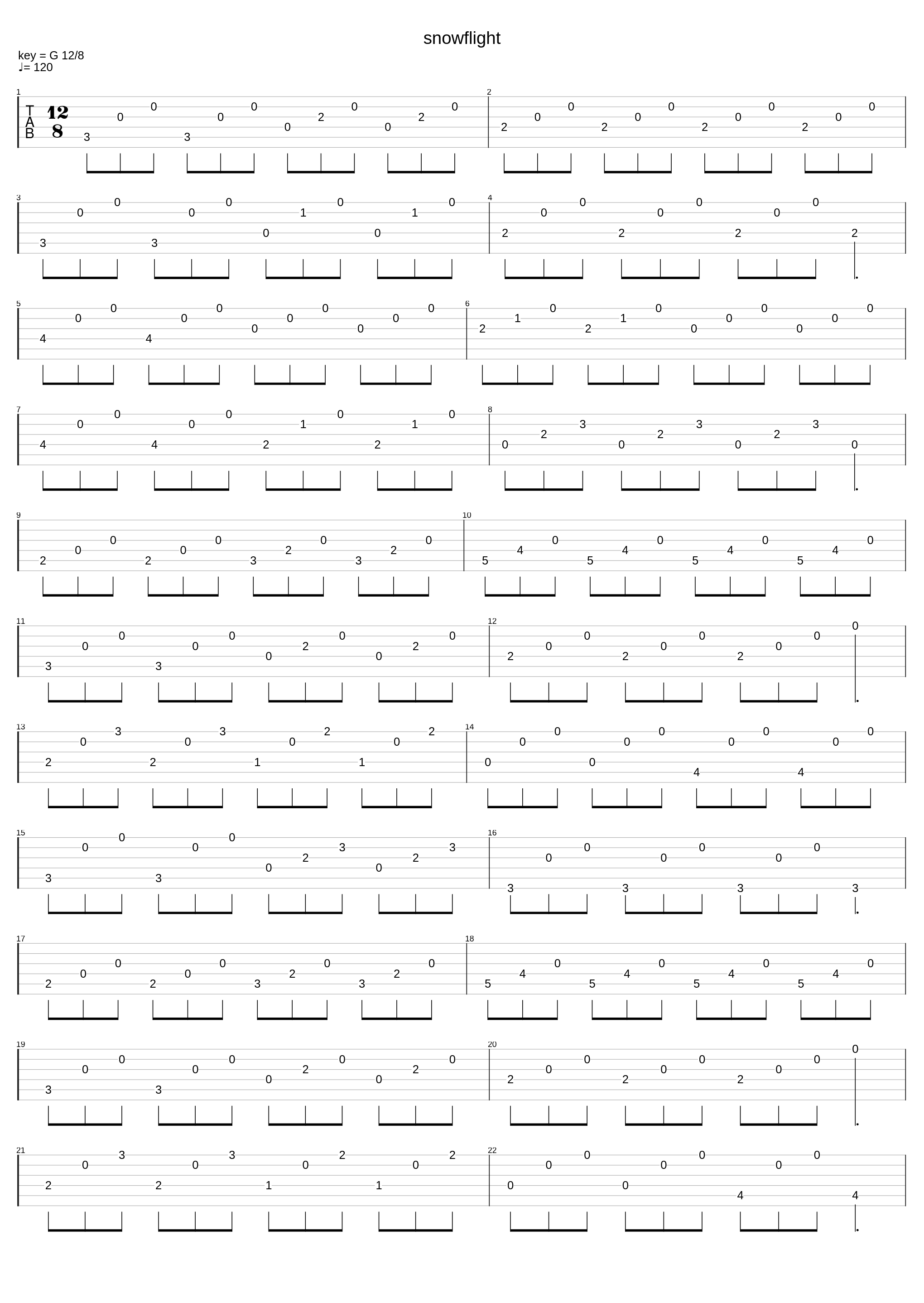 Snowflight_Andrew York_1