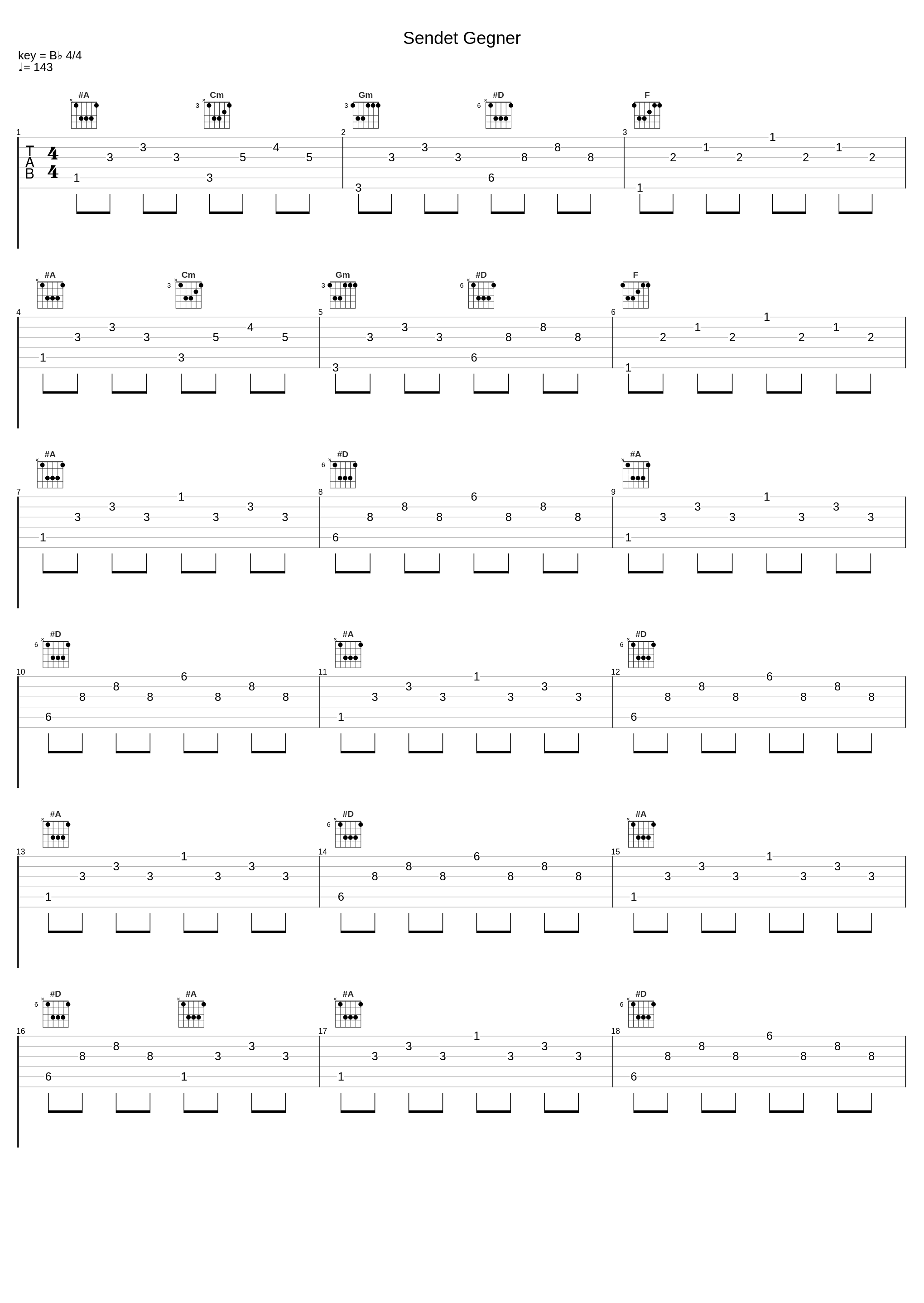 Sendet Gegner_Karpatenhund_1