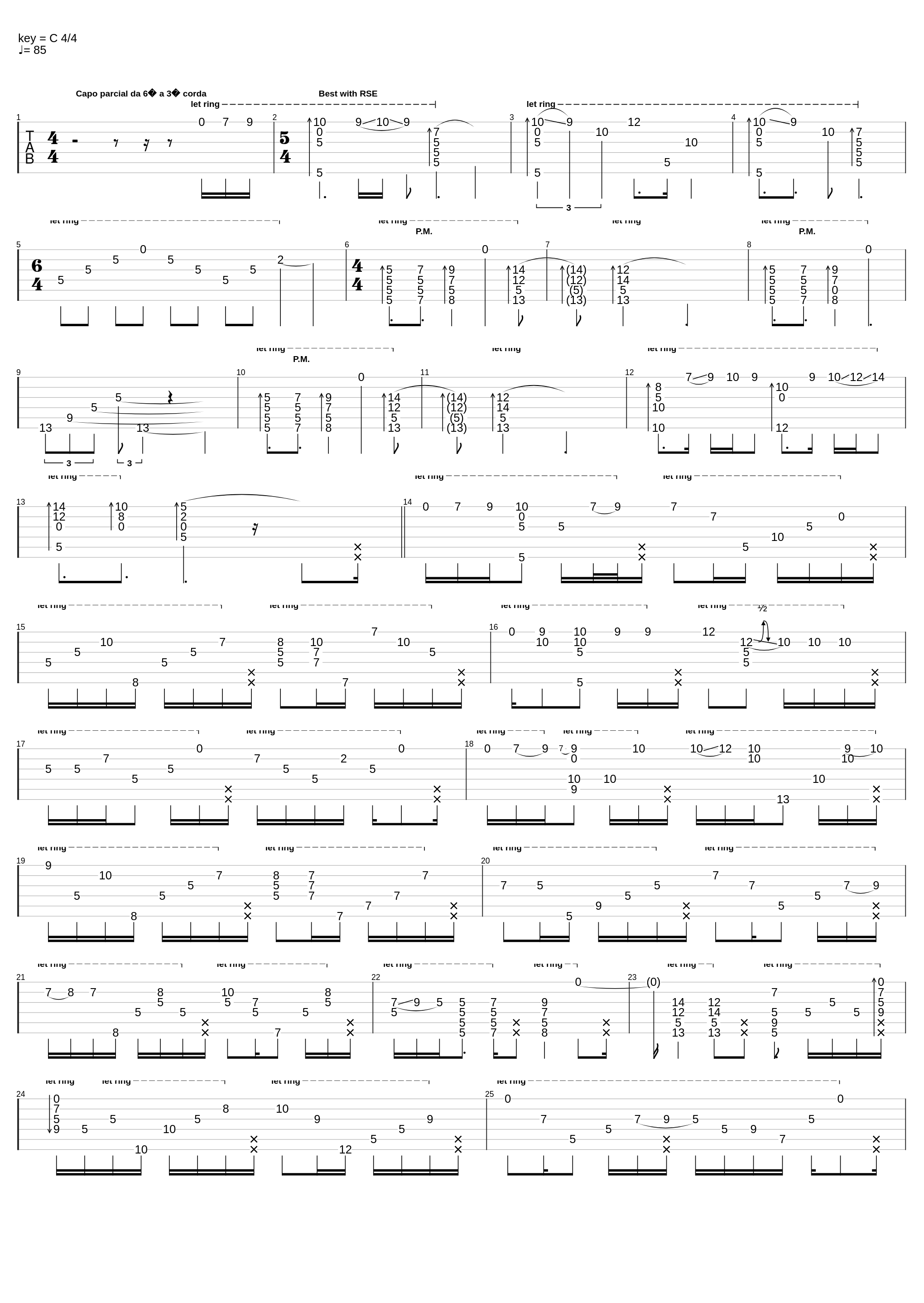 Rylynnn_Andy McKee_1