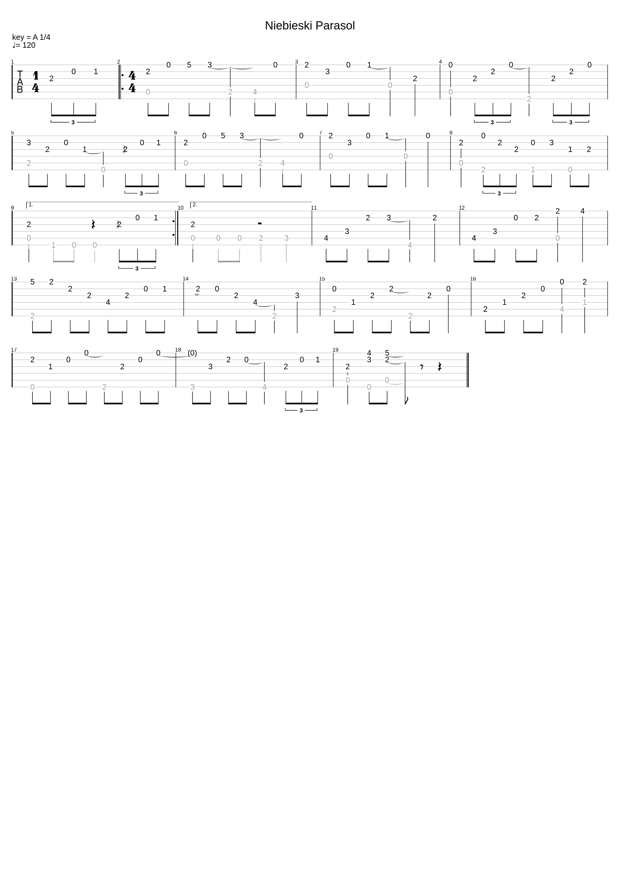 Niebieski Parasol_M. Drożdzowski, T. Stachak_1