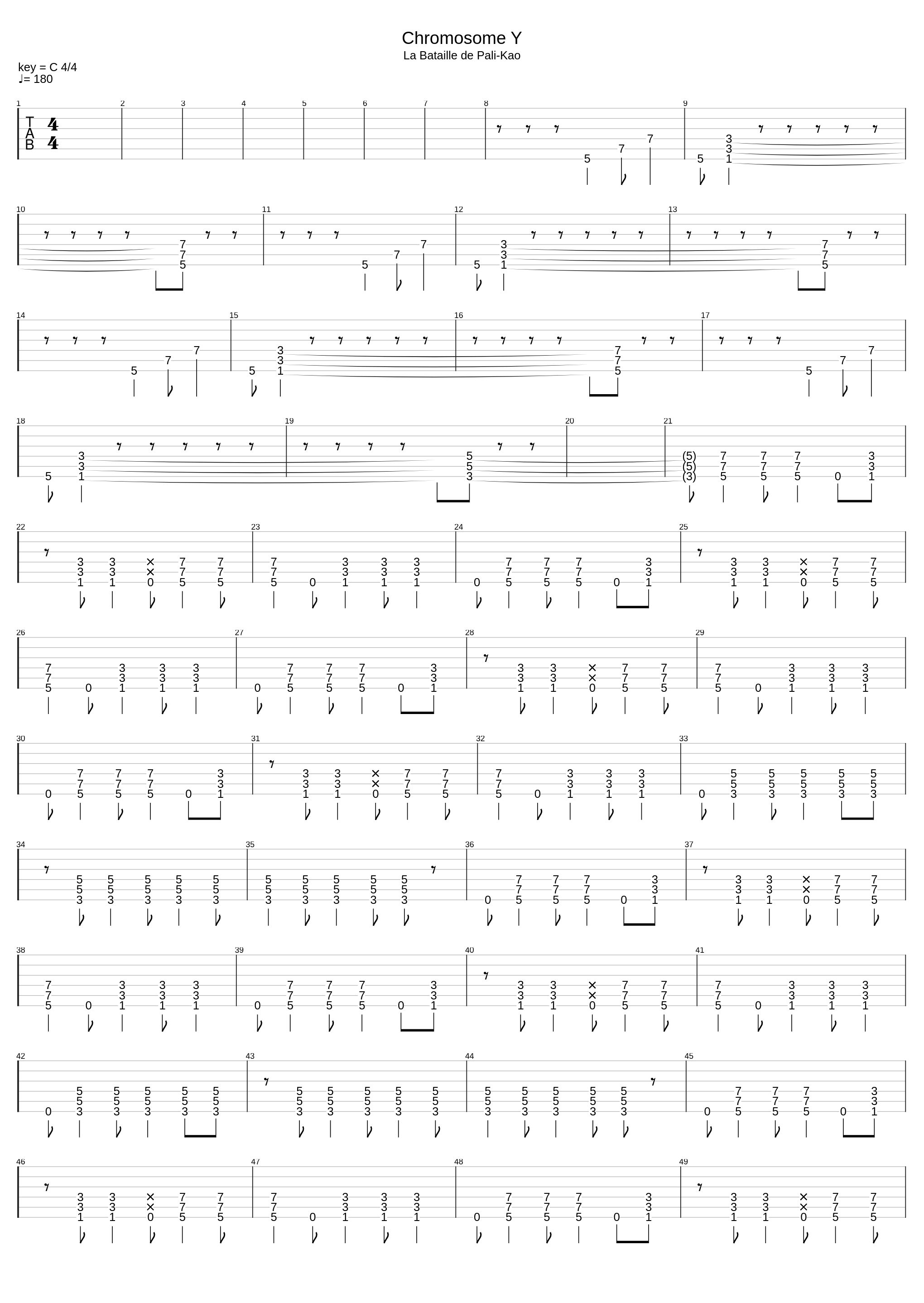 Chromosome Y_Berurier Noir_1