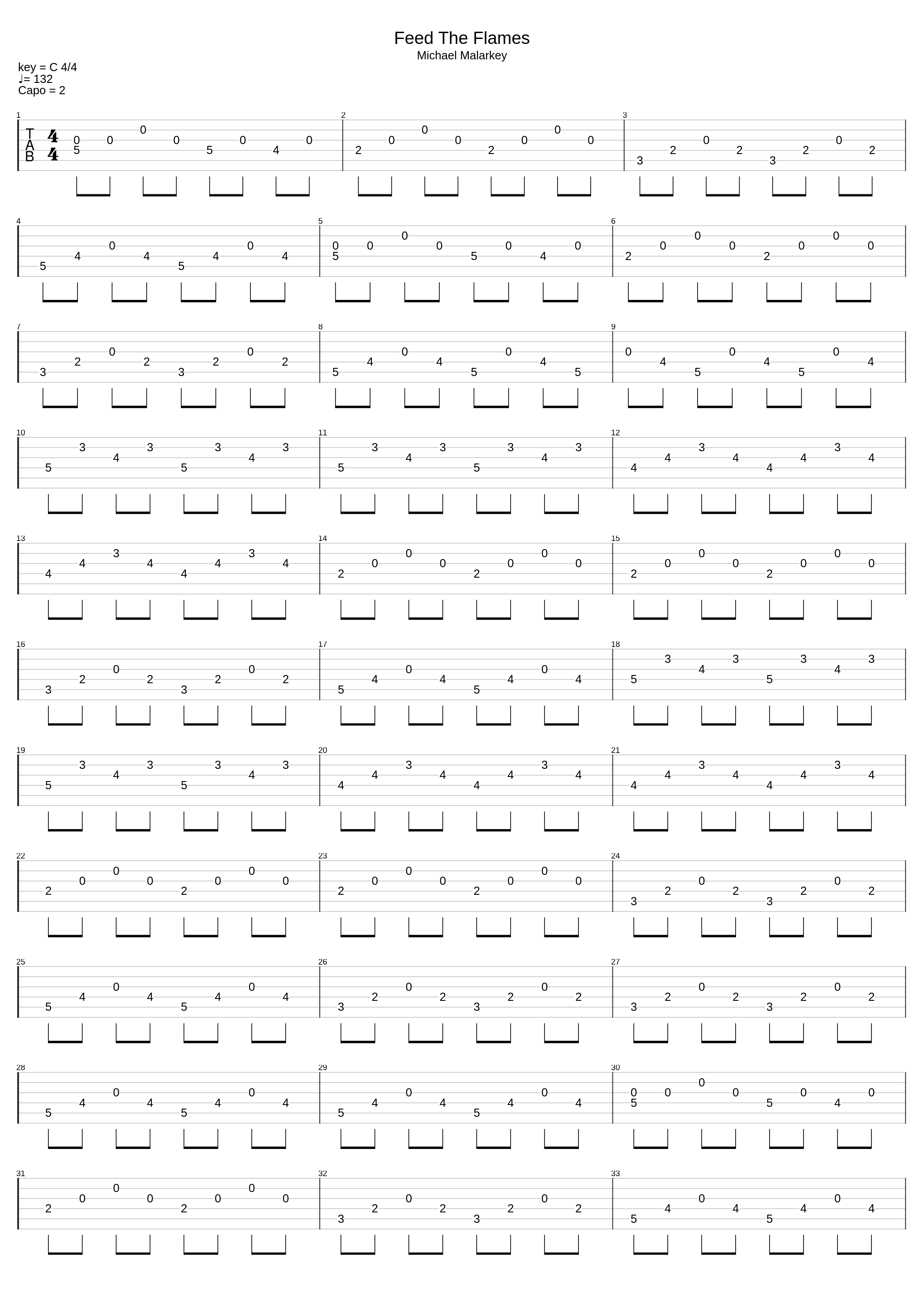 Feed The Flames_Michael Malarkey_1