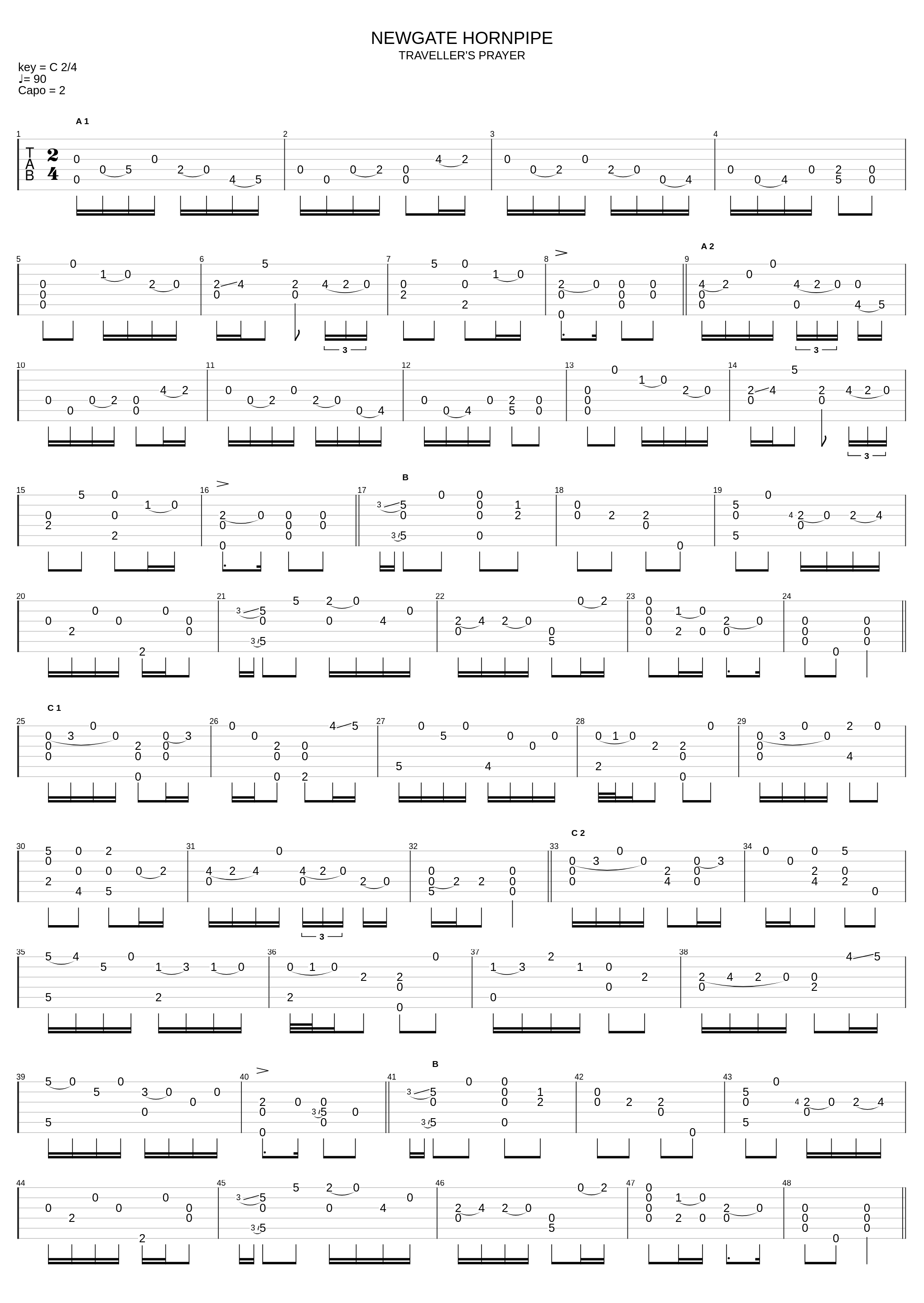 Newgate Hornpipe_John Renbourn_1