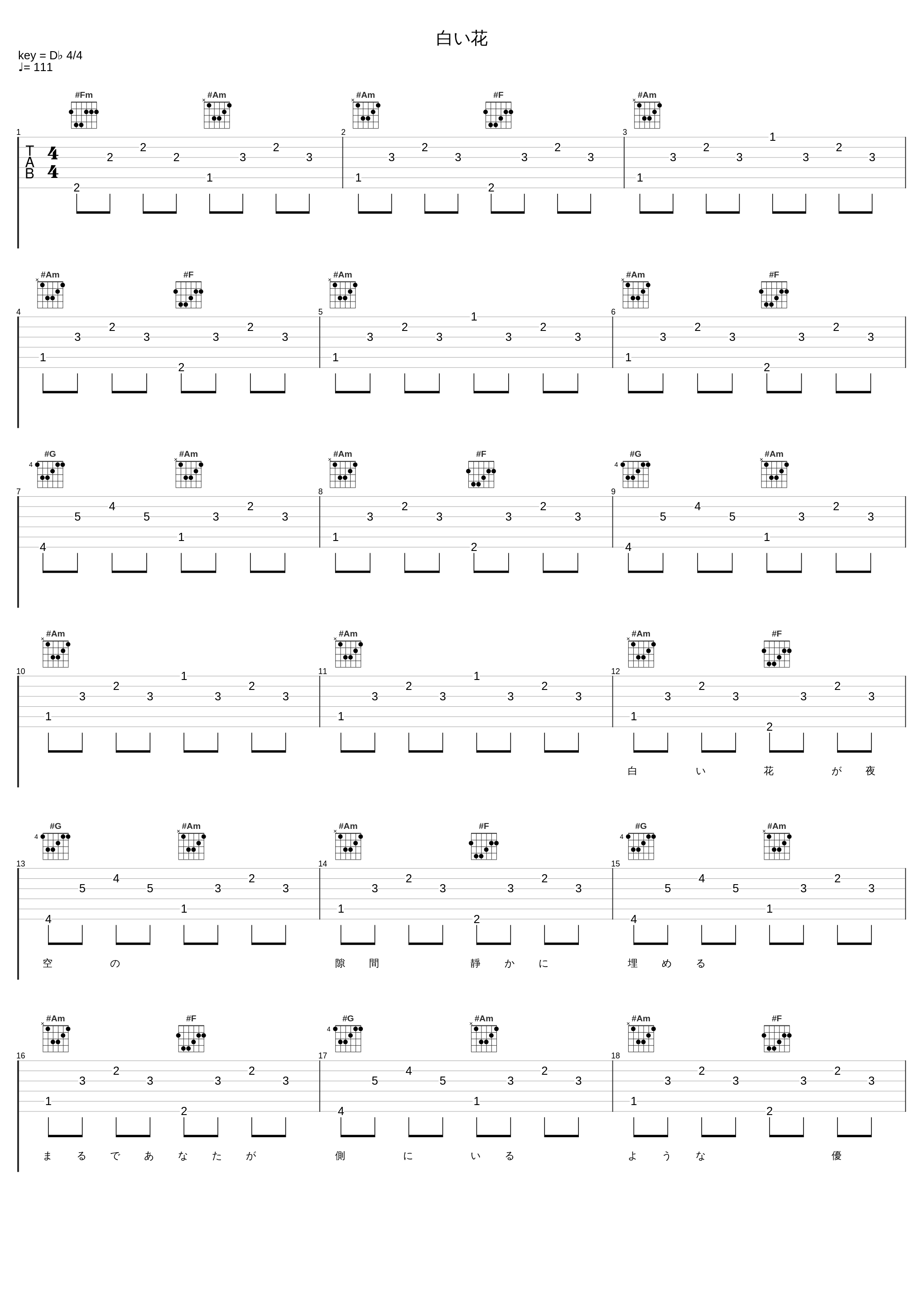 白い花_ZONE_1