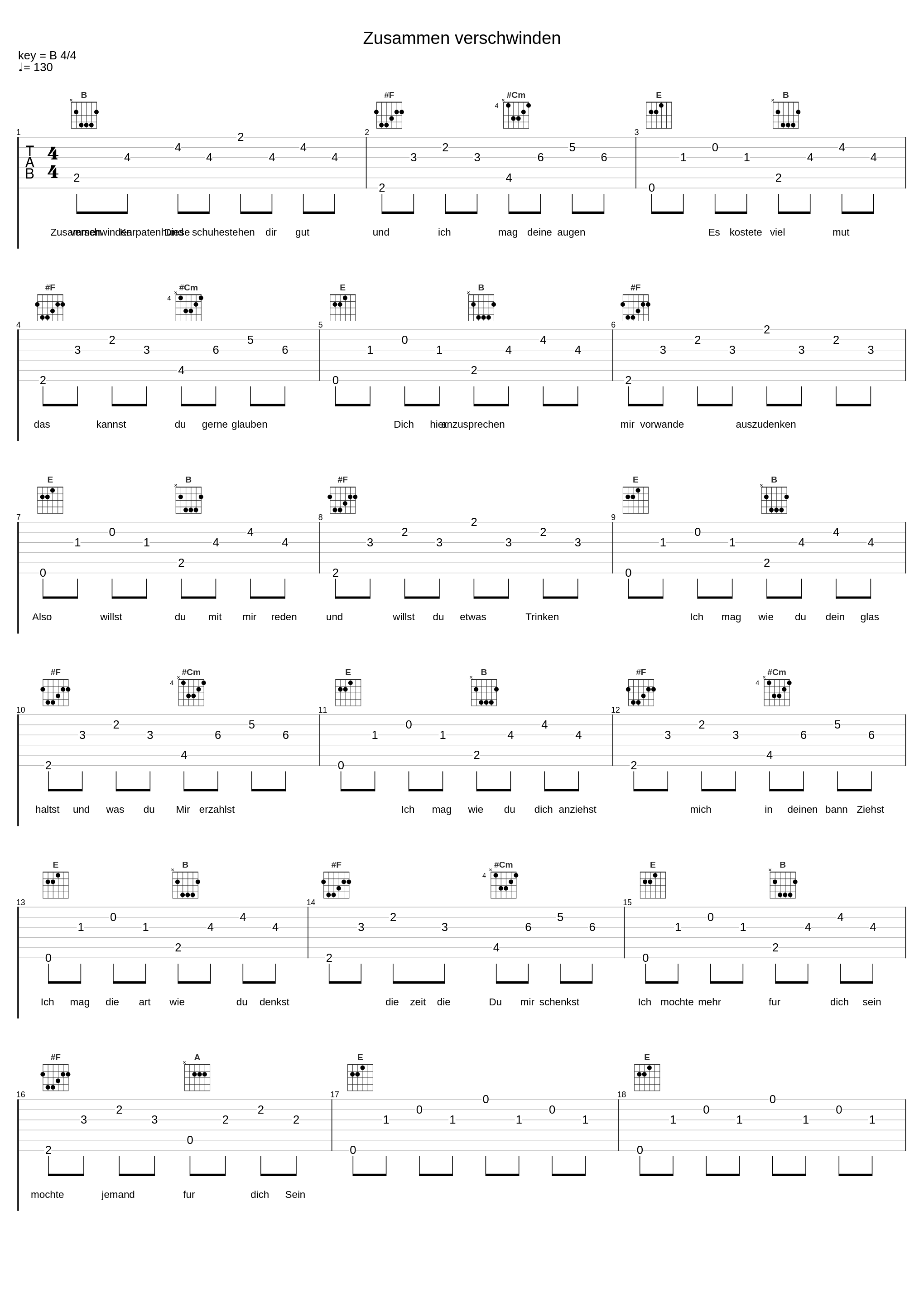 Zusammen verschwinden_Karpatenhund_1