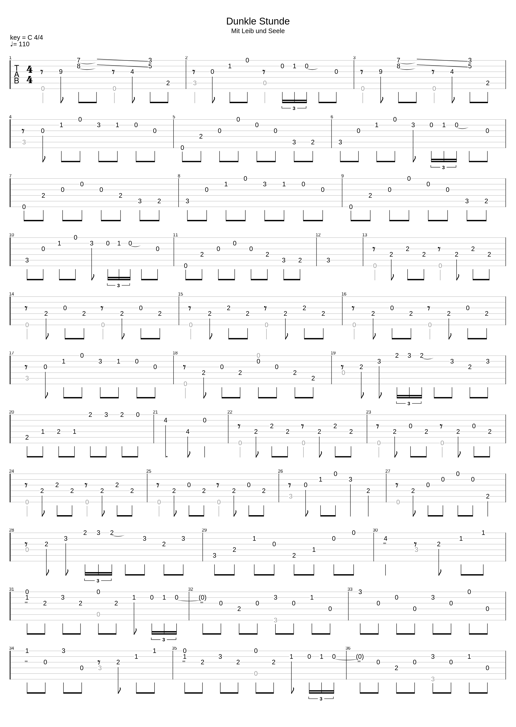 Dunkle Stunde_Schandmaul_1