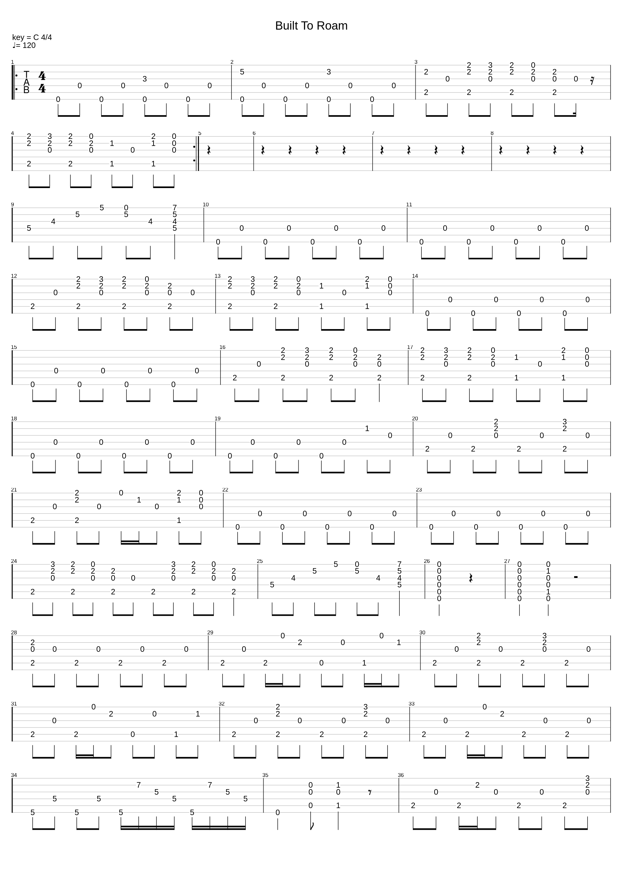 Built To Roam_Shakey Graves_1