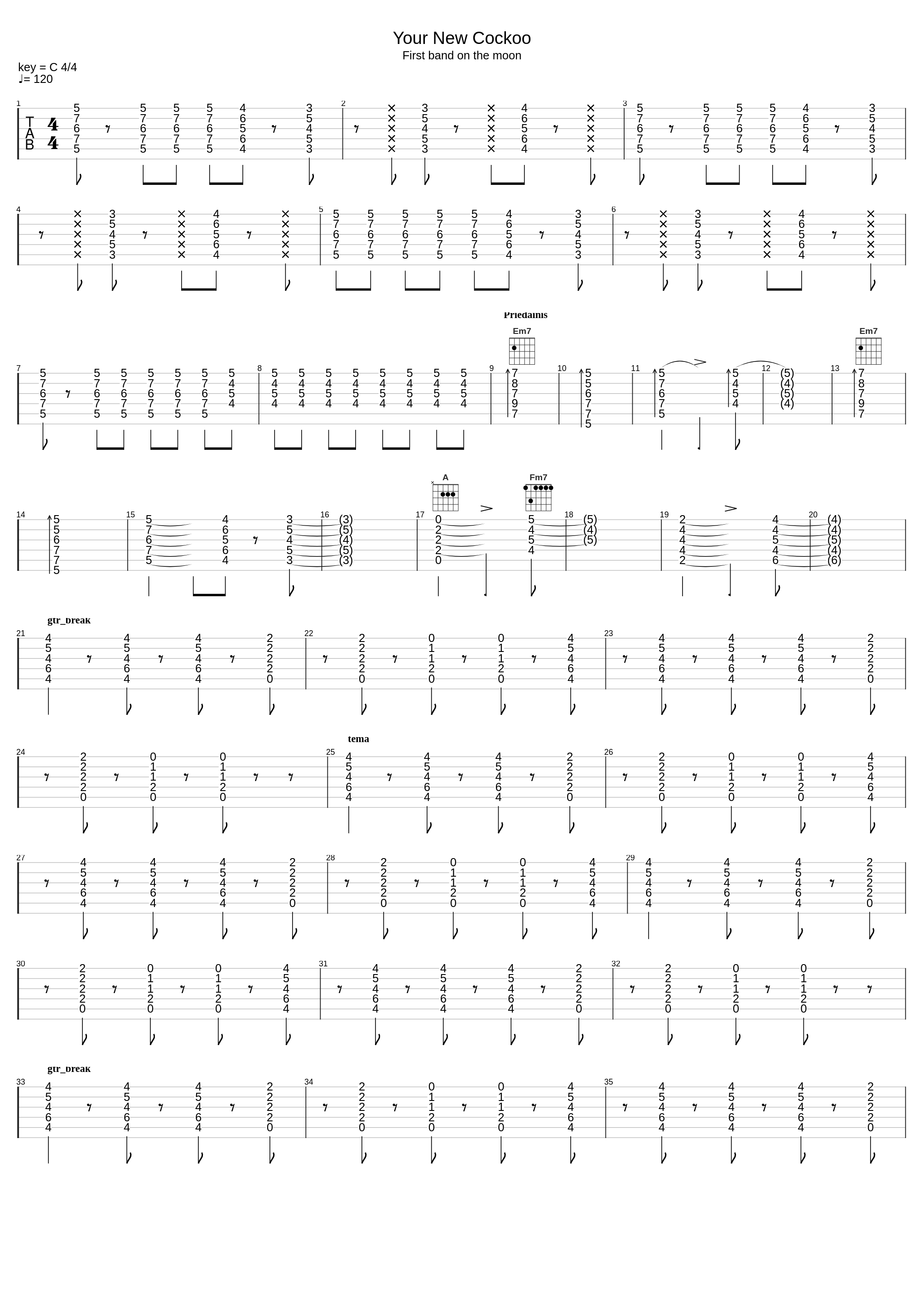 Your New Cuckoo_The Cardigans_1