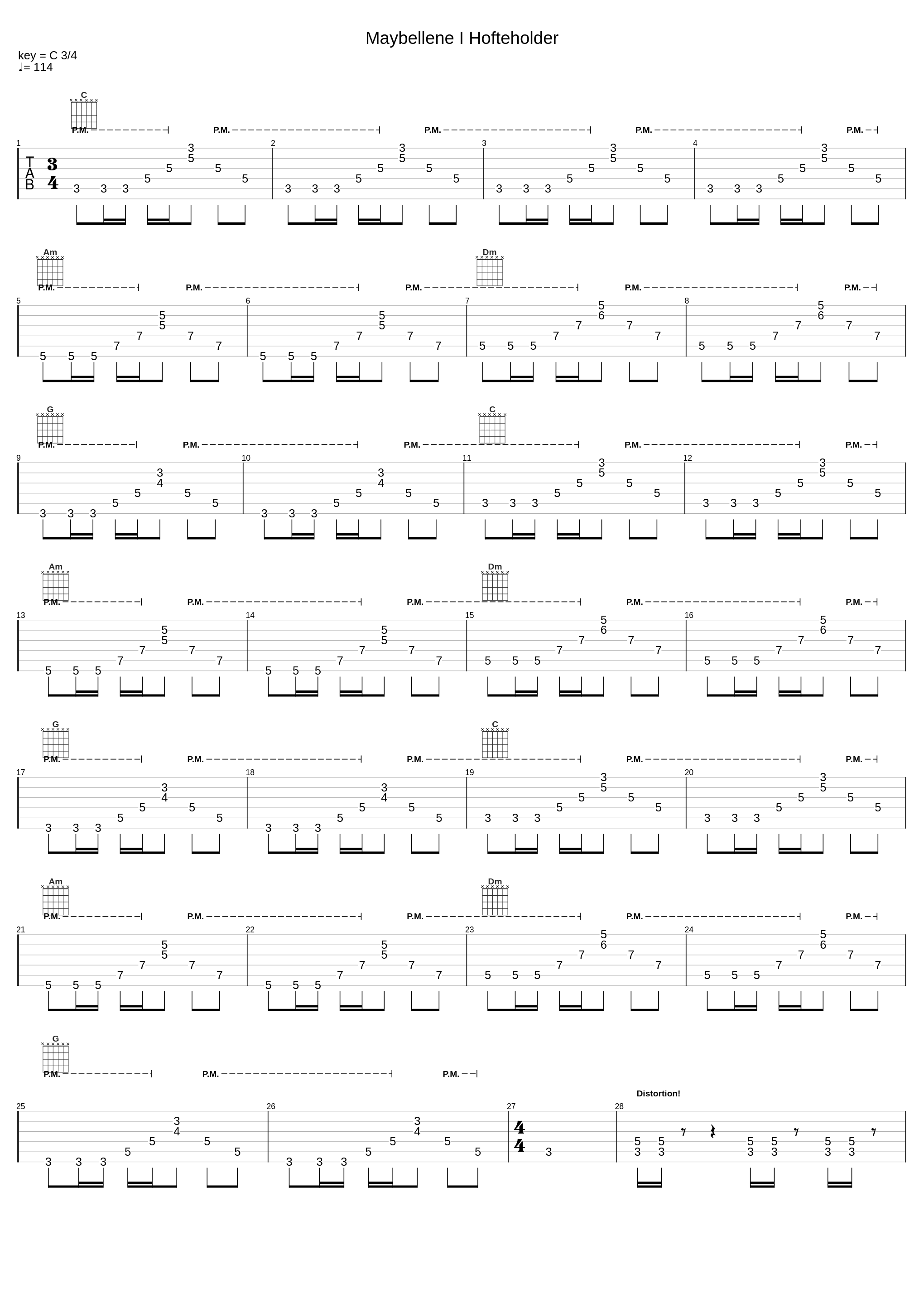 Maybellene I Hofteholder_2_Volbeat_1