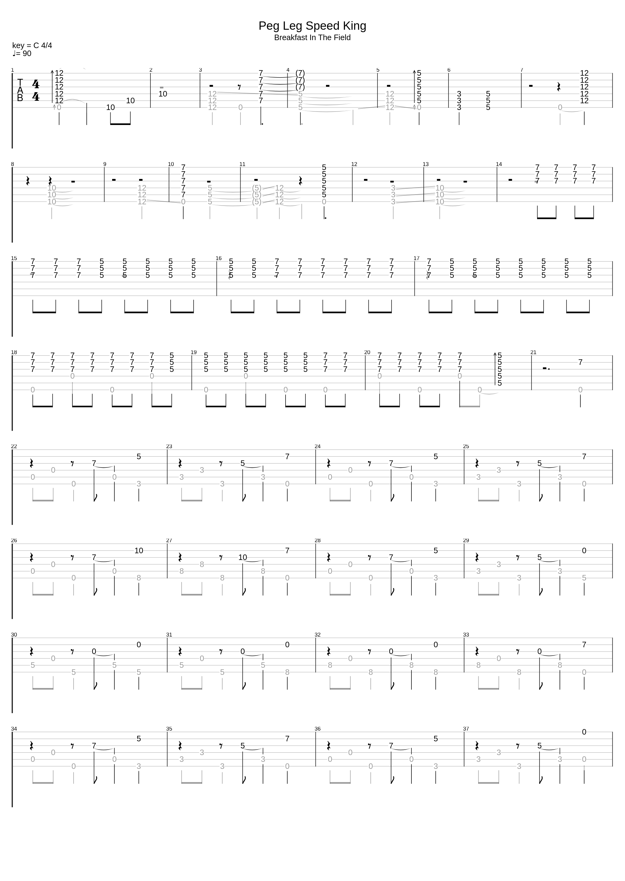 Peg Leg Speed King_Michael Hedges_1