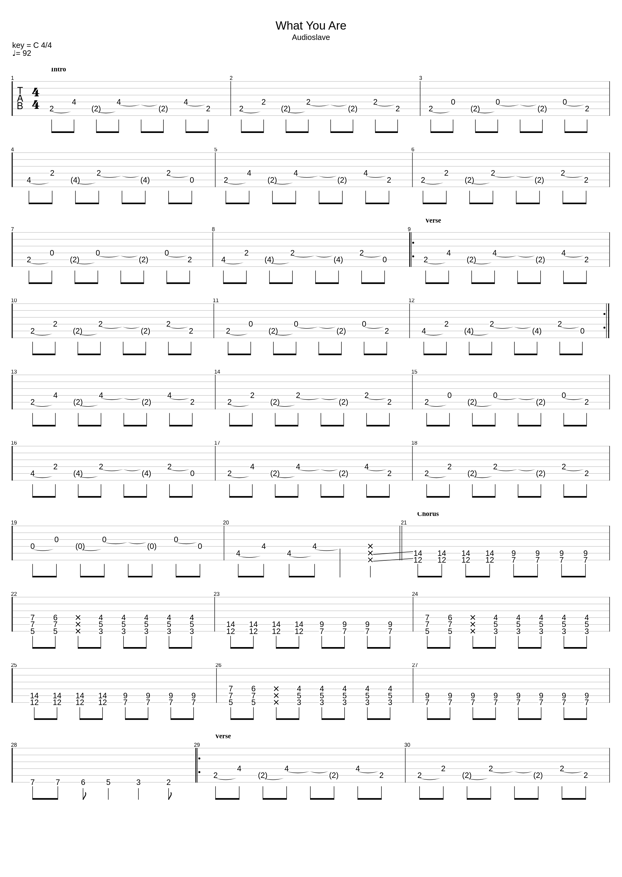 What You Are_Audioslave_1