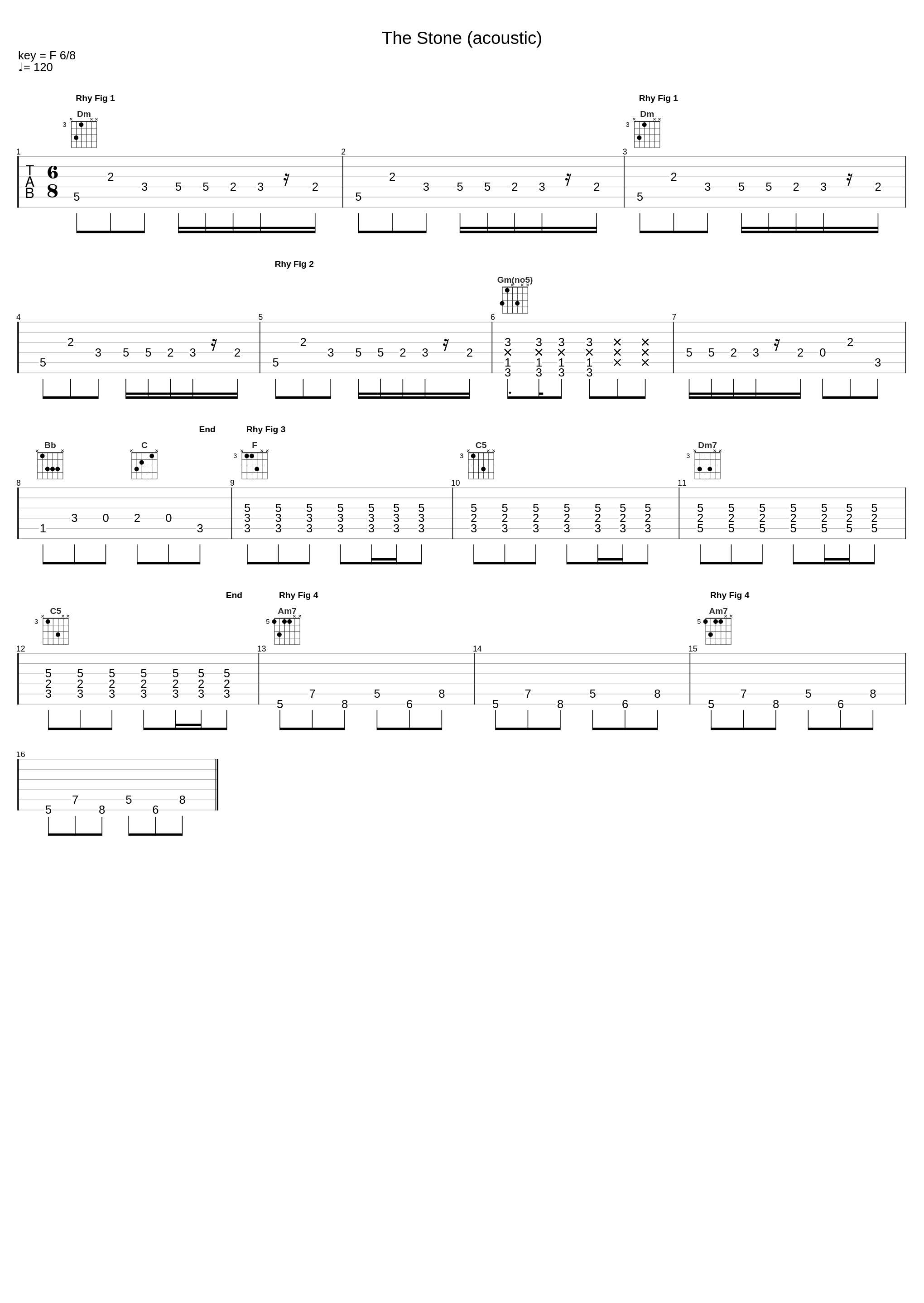 The Stone_Dave Matthews_1