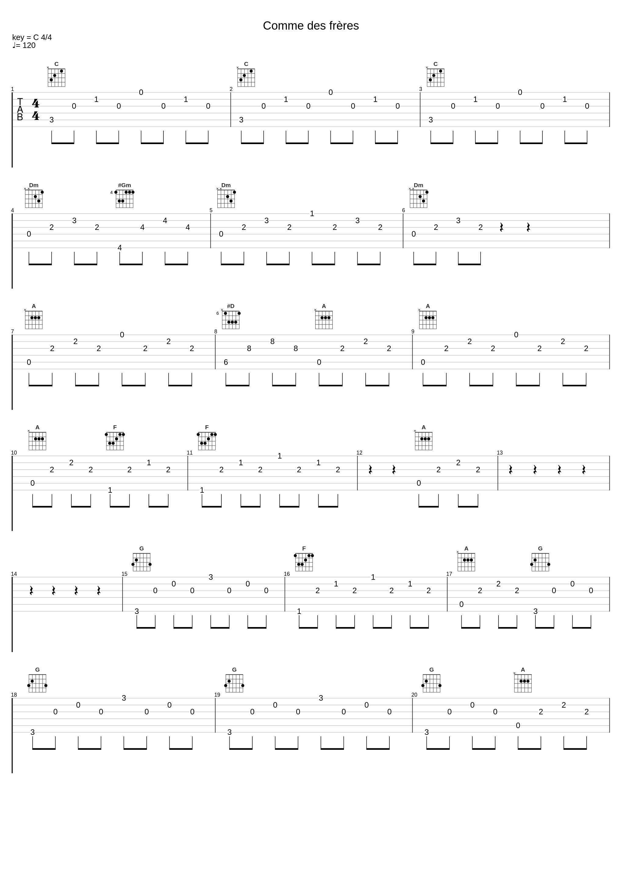 Comme des frères_Gabriel Yared_1