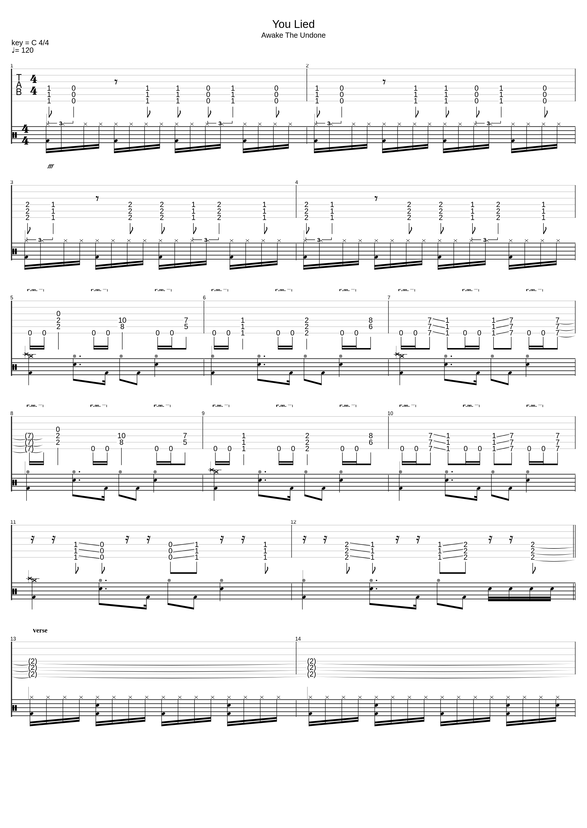 You Lied Guitar Only_Awake Seclusion_1